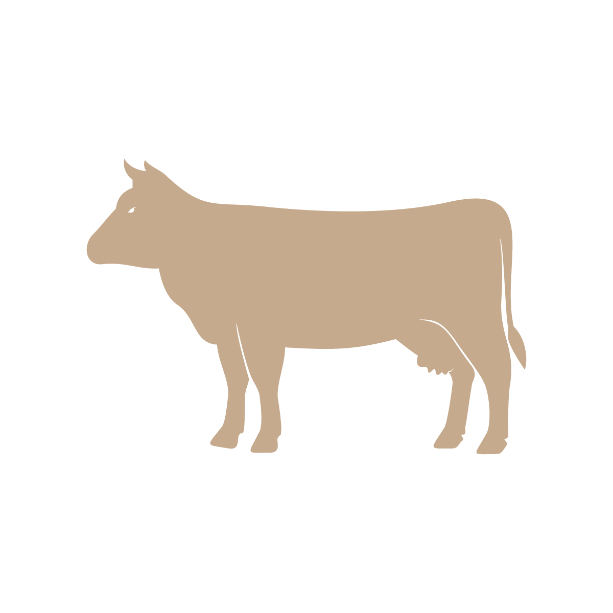 Silhouette of a cow in beige color with black background.