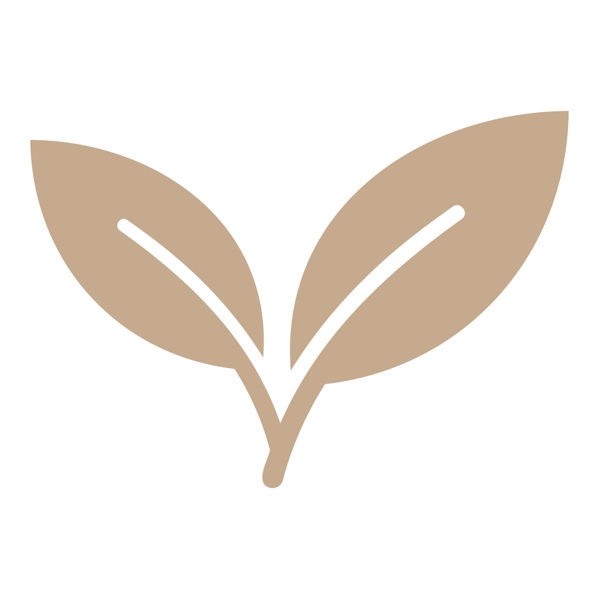 Simple illustration of a plant with two beige leaves.