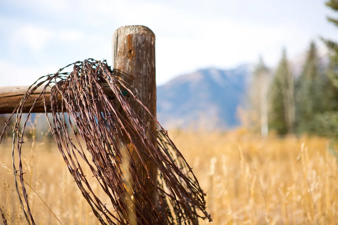 Horse fencing on real estate in Jackson, Wyoming