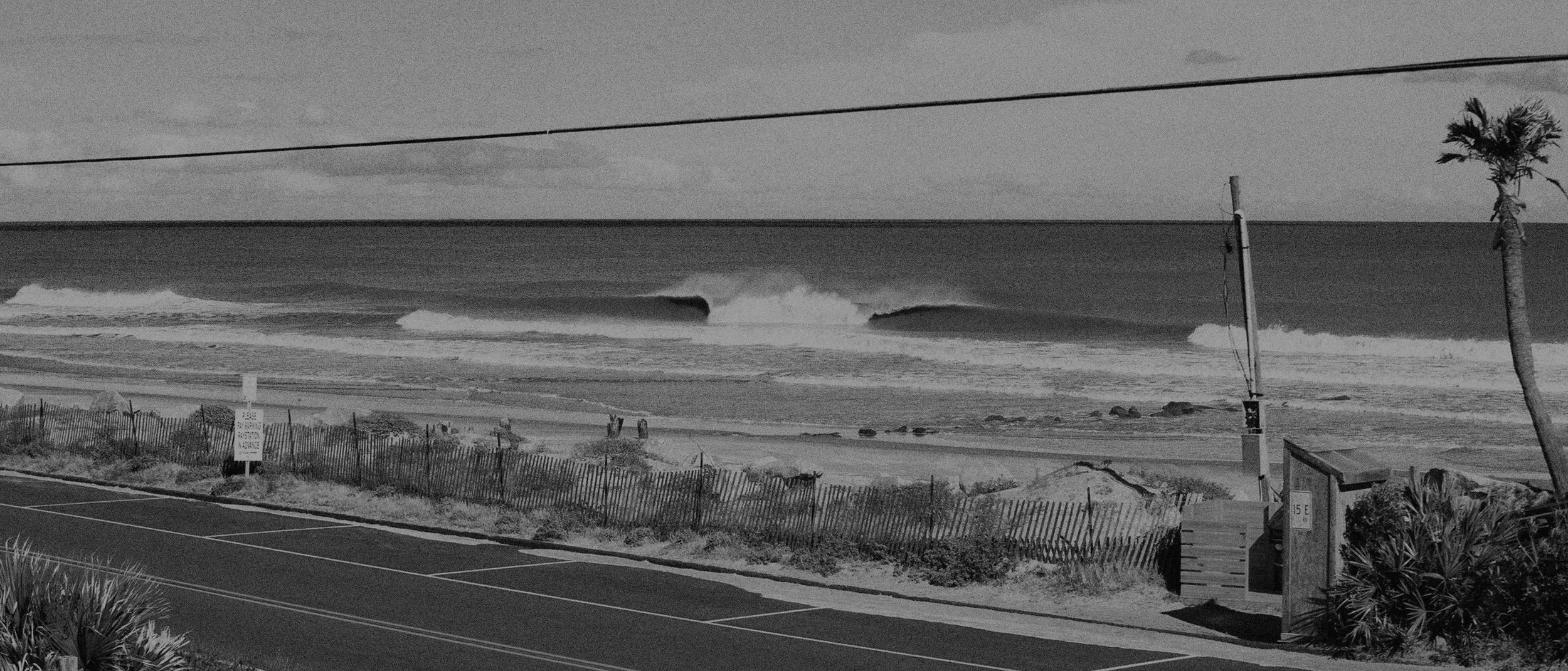 Black and white photo of the beach with waves, a sandy shore, a fence, a palm tree, and a parking lot in the foreground.