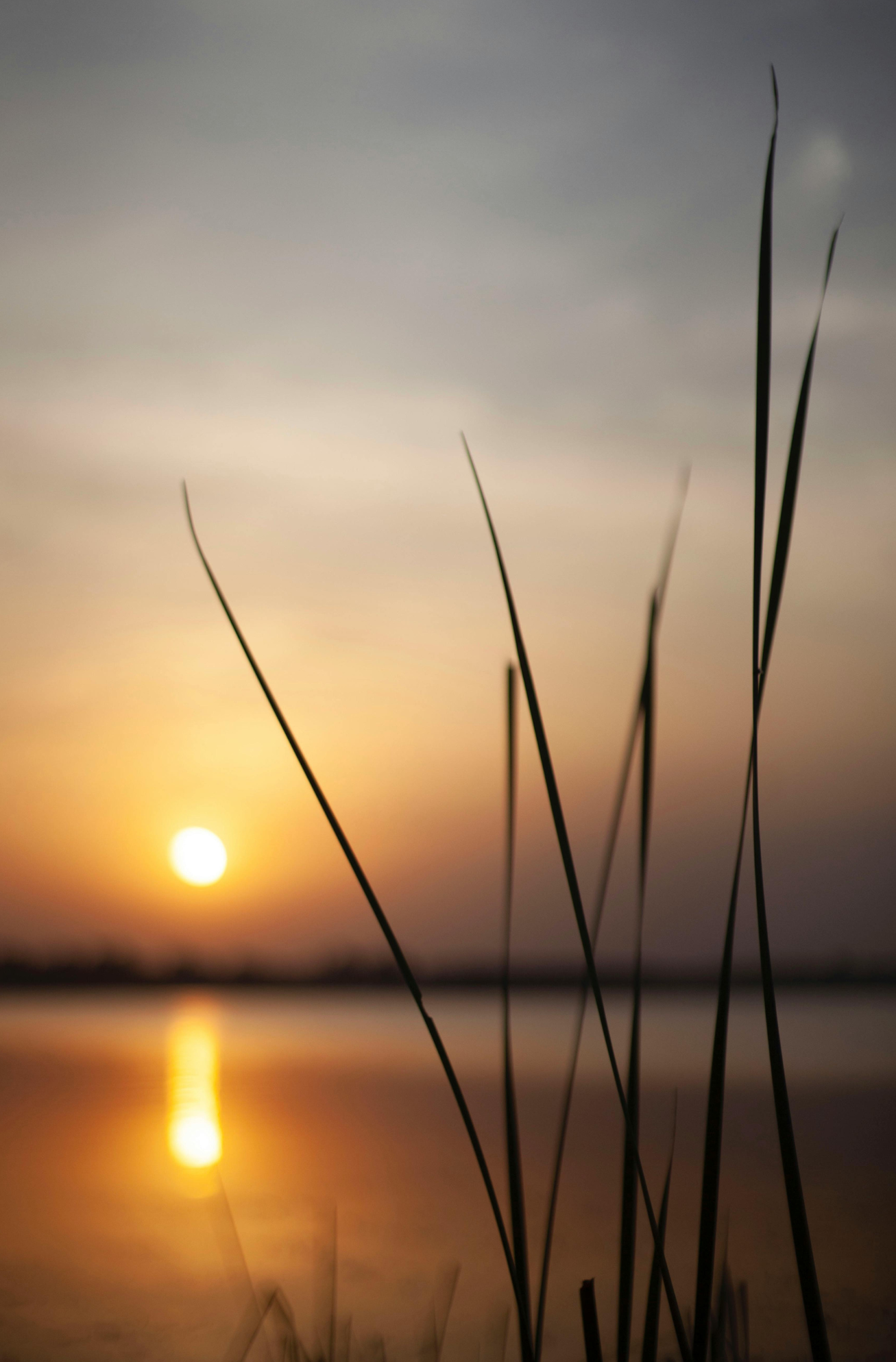 EMDR trauma recovery work in TX