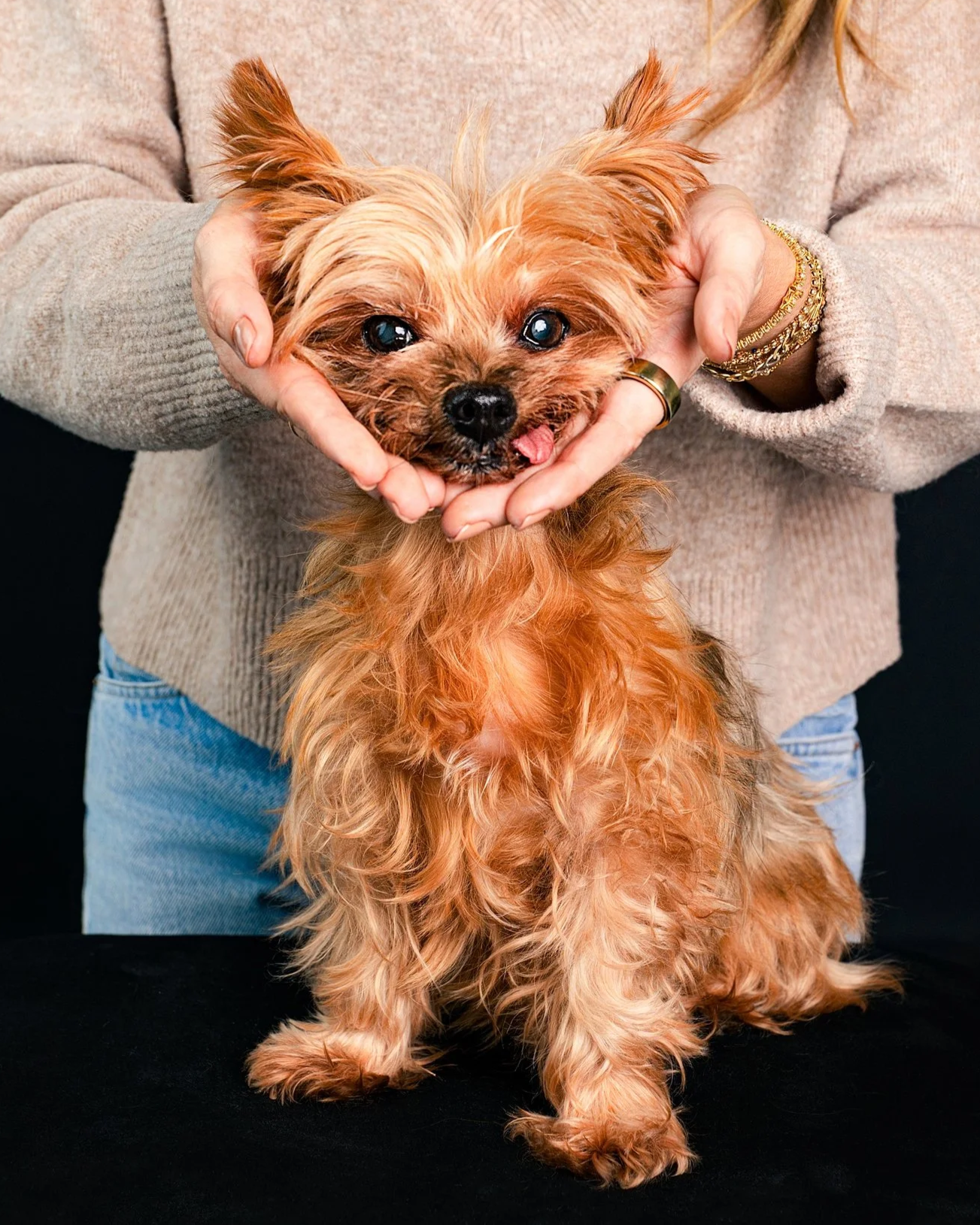 pet photographer Alhambra California