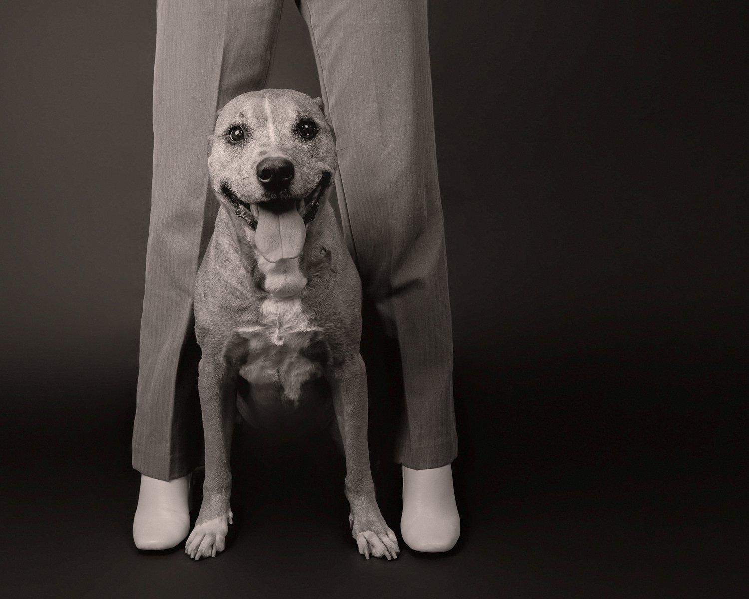 dog photography session San Marino