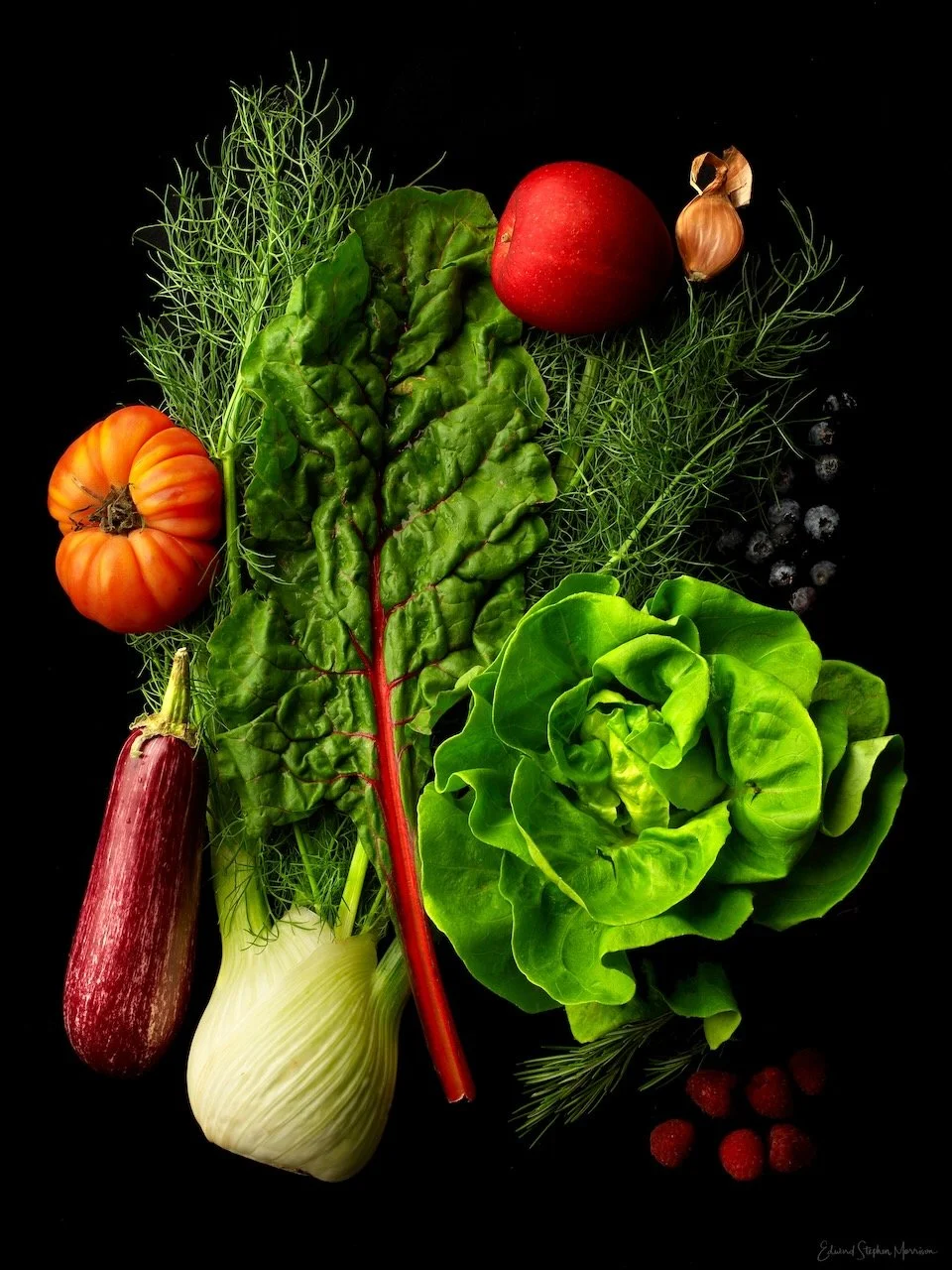 Assorted fresh vegetables including tomato, apple, garlic, lettuce, eggplant, chard, fennel, berries, and herbs on a black background.