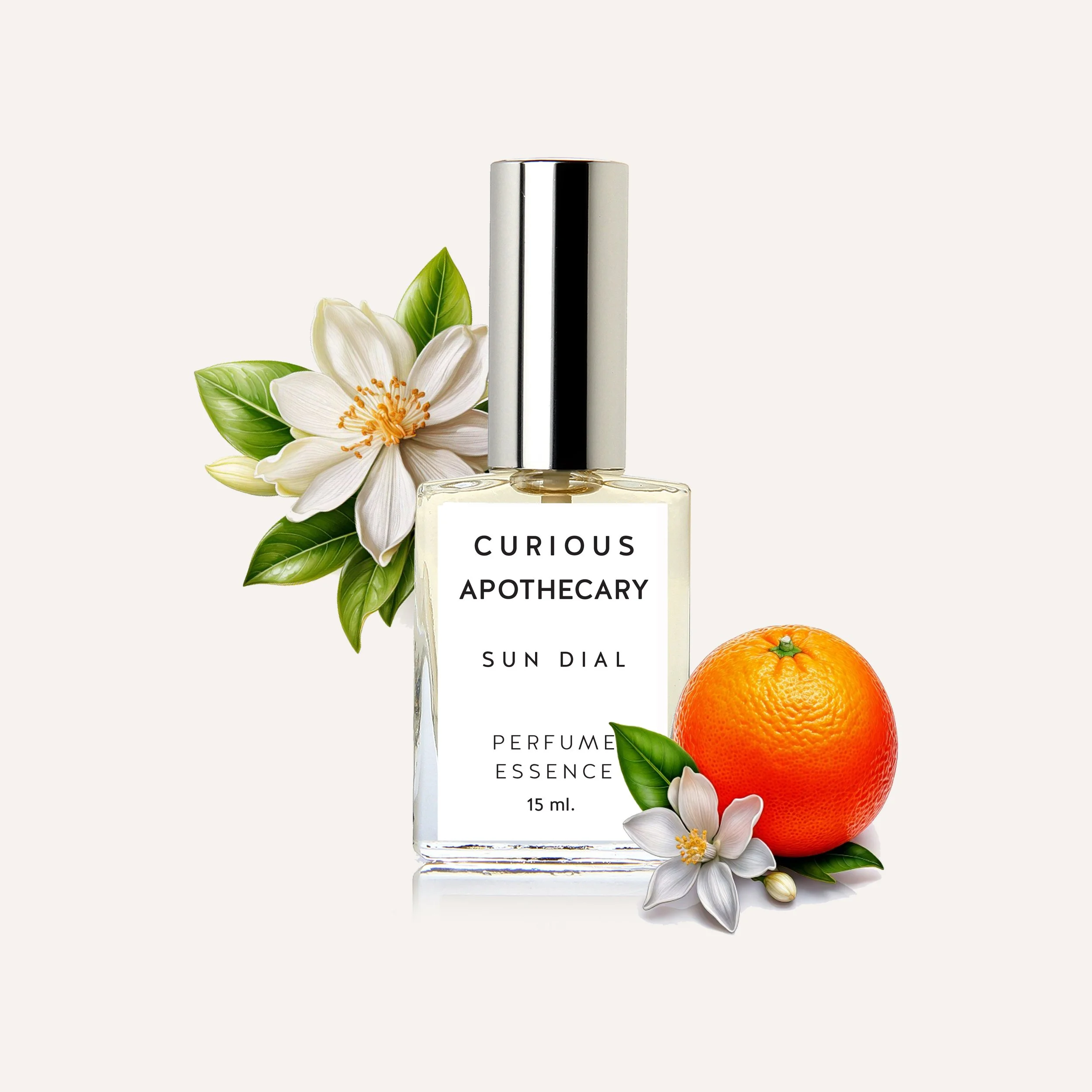 CuriousapothecarySunDialNew2025B.jpeg