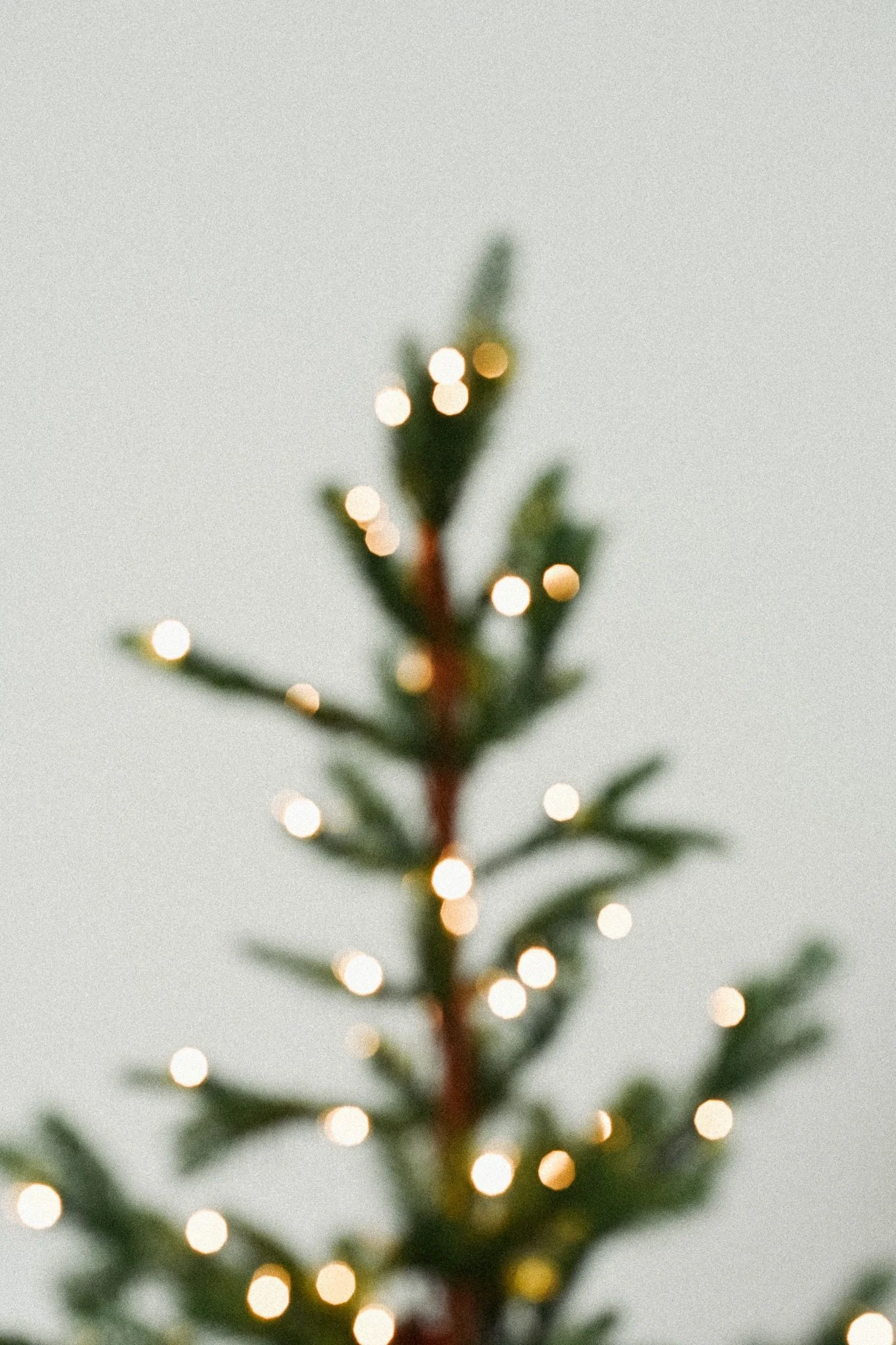 Christmas Day