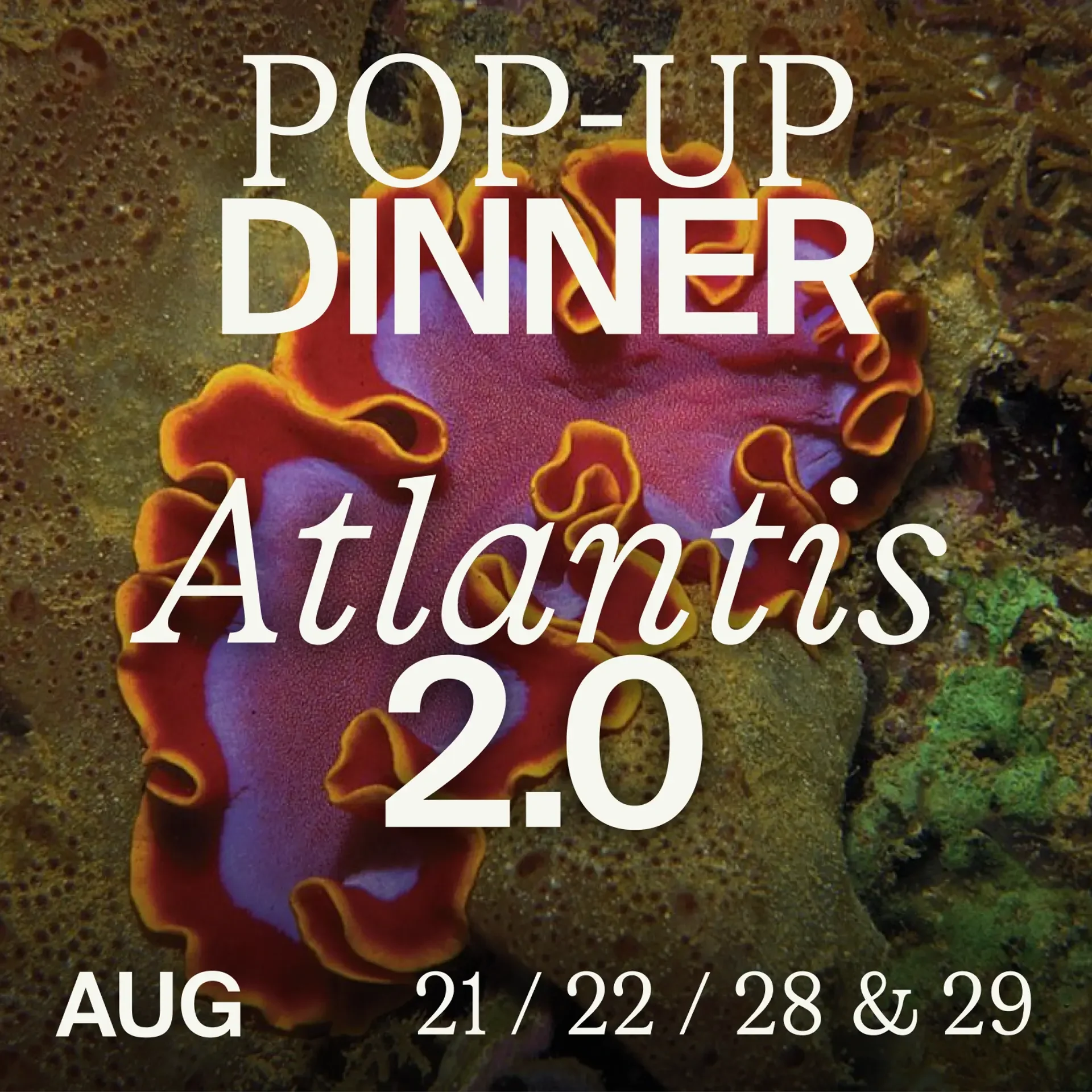 Atlantis 2.0 Pop-Up Dinner by Yacinth Pos