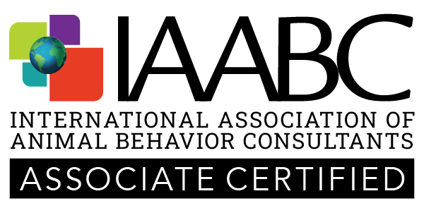 A logo for the International Association of Privacy Professionals, with colorful squares, a globe, and the text 'International Association of Privacy Professionals' and 'Associate Certified'.