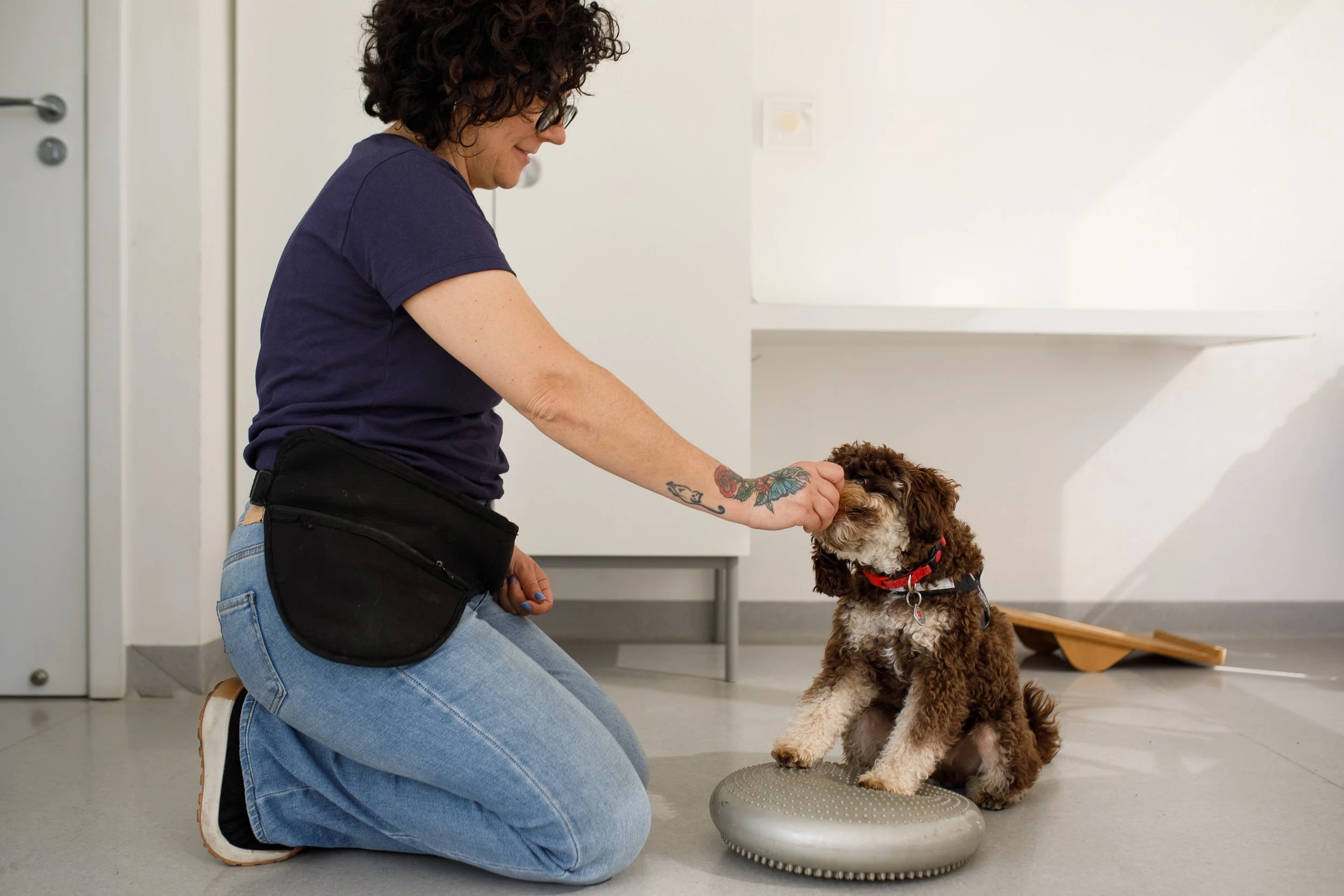 dog getting treat from dog trainer