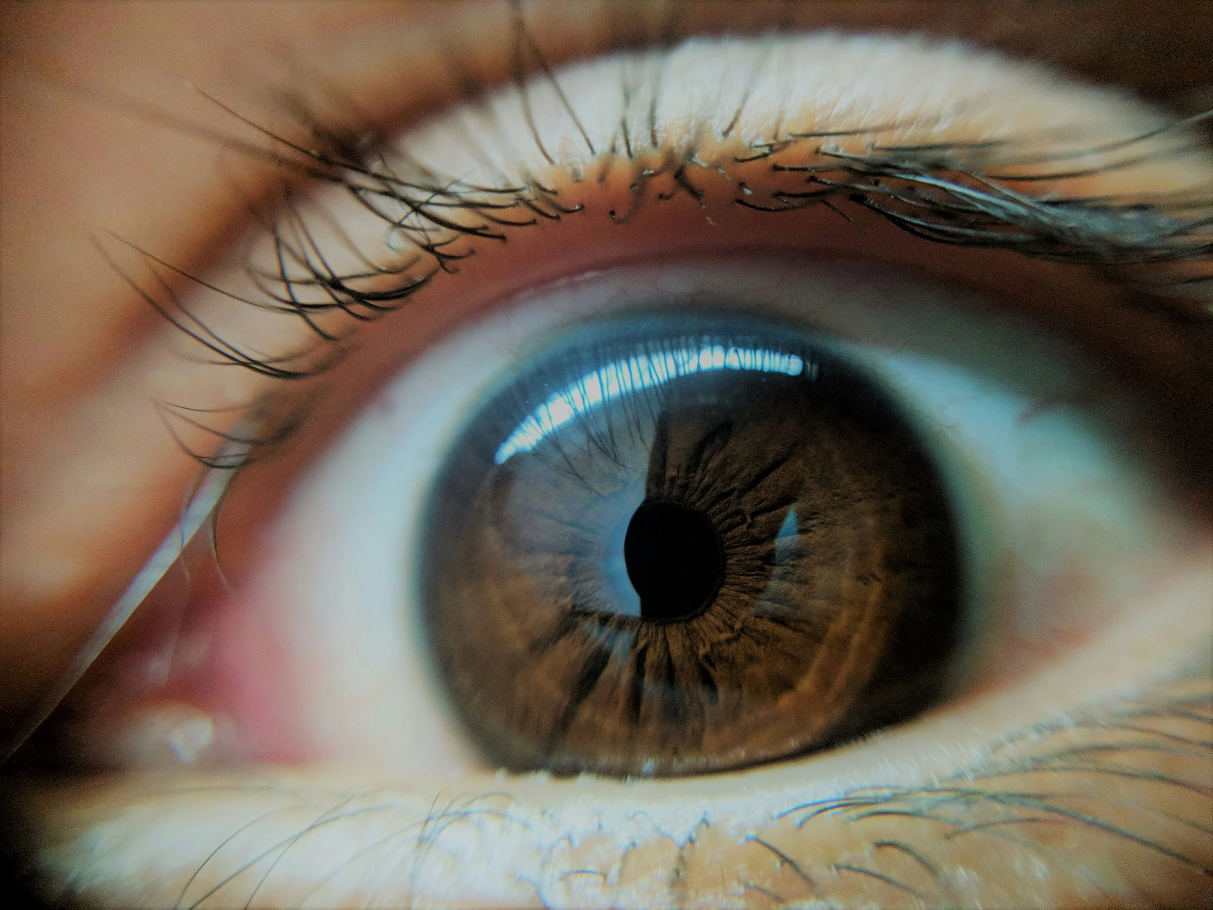 Close-up of a human eye showing the iris, pupil, and eyelashes.