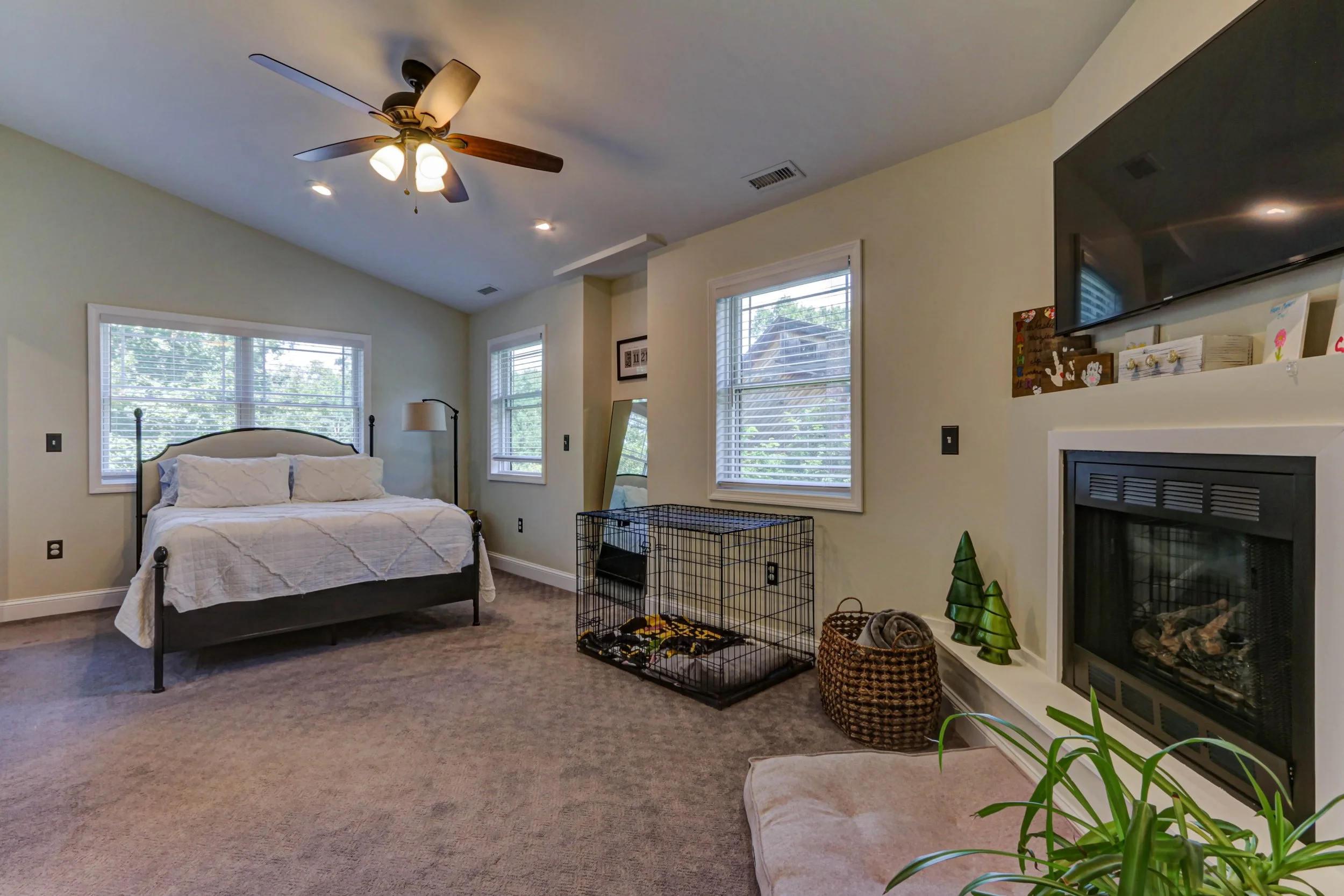 Dog Lady house -32.jpg