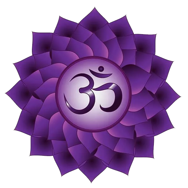 Monday Wisdom Circle: Chakra 7, Crown