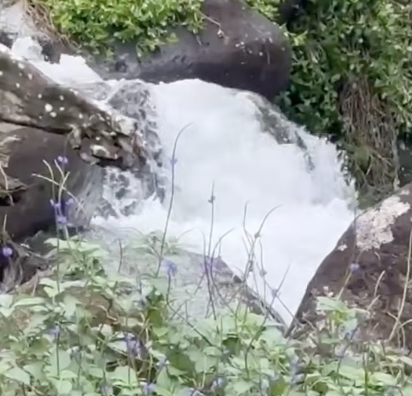 3-Minute Sound Loop: Kauai Mountain Stream &amp; Crystal Bowls | A Grounded Start to Your Week