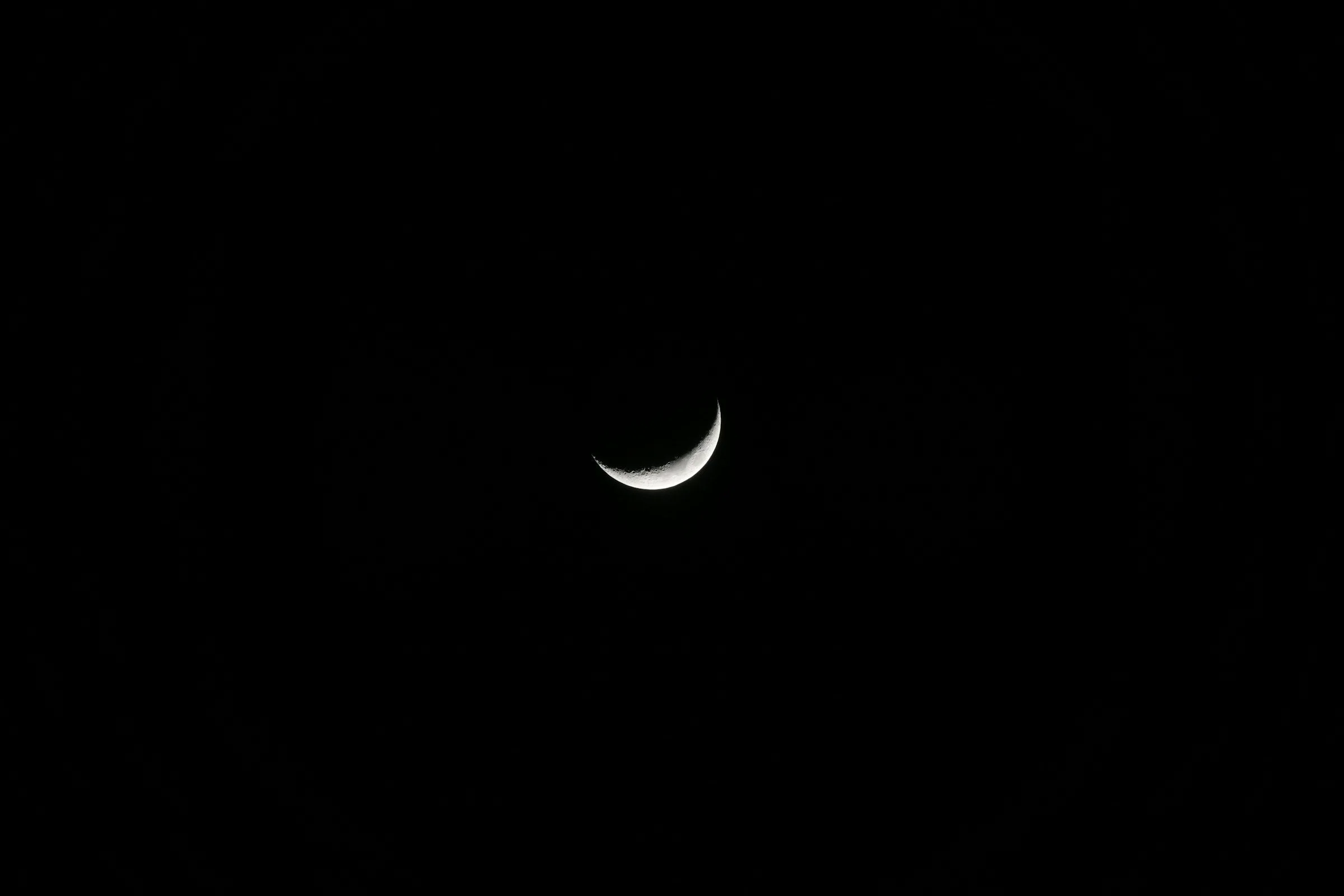 Monday Wisdom Circle: Celebrate the New Moon - November 9