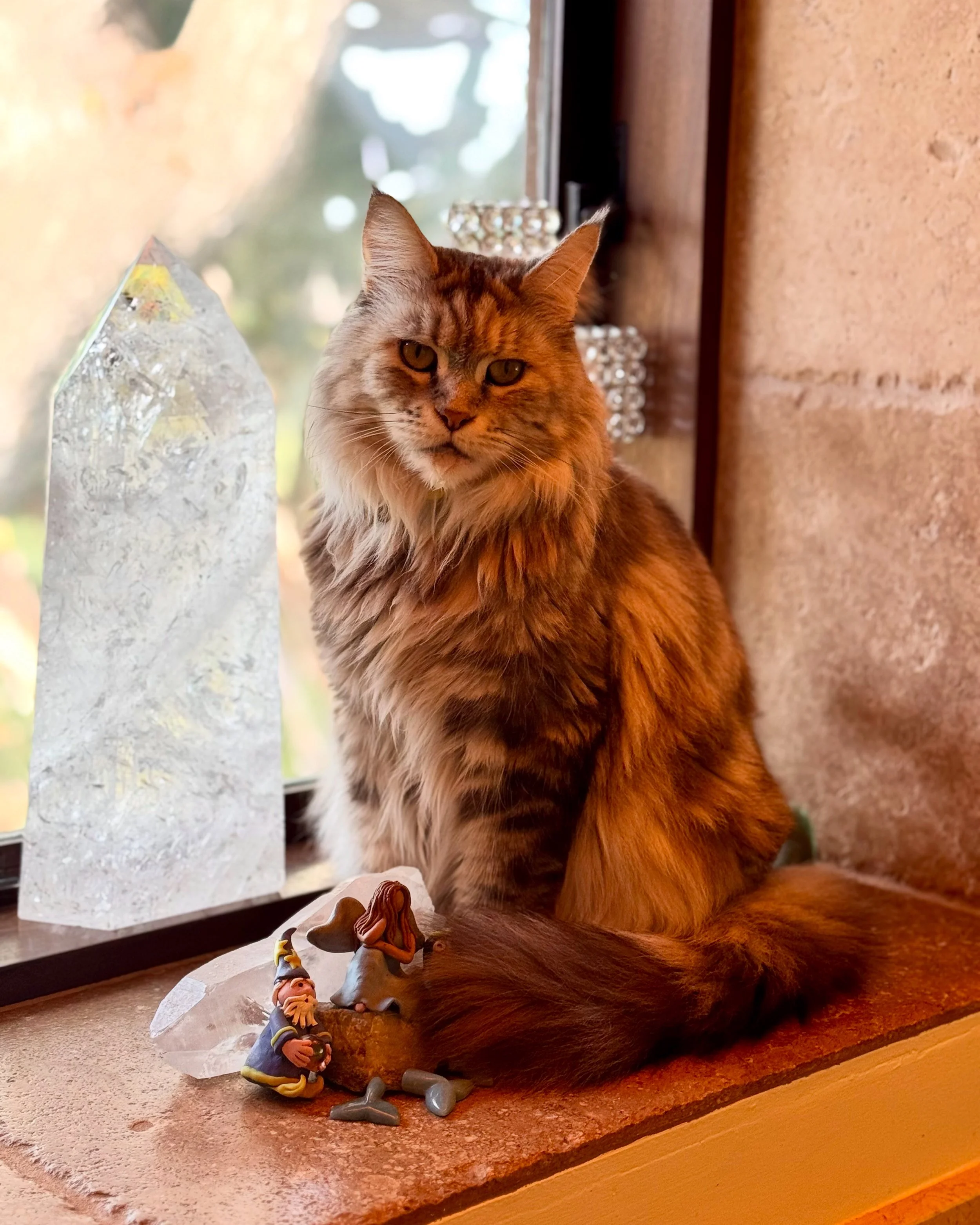 Cat on a window sill monday wisdom circle