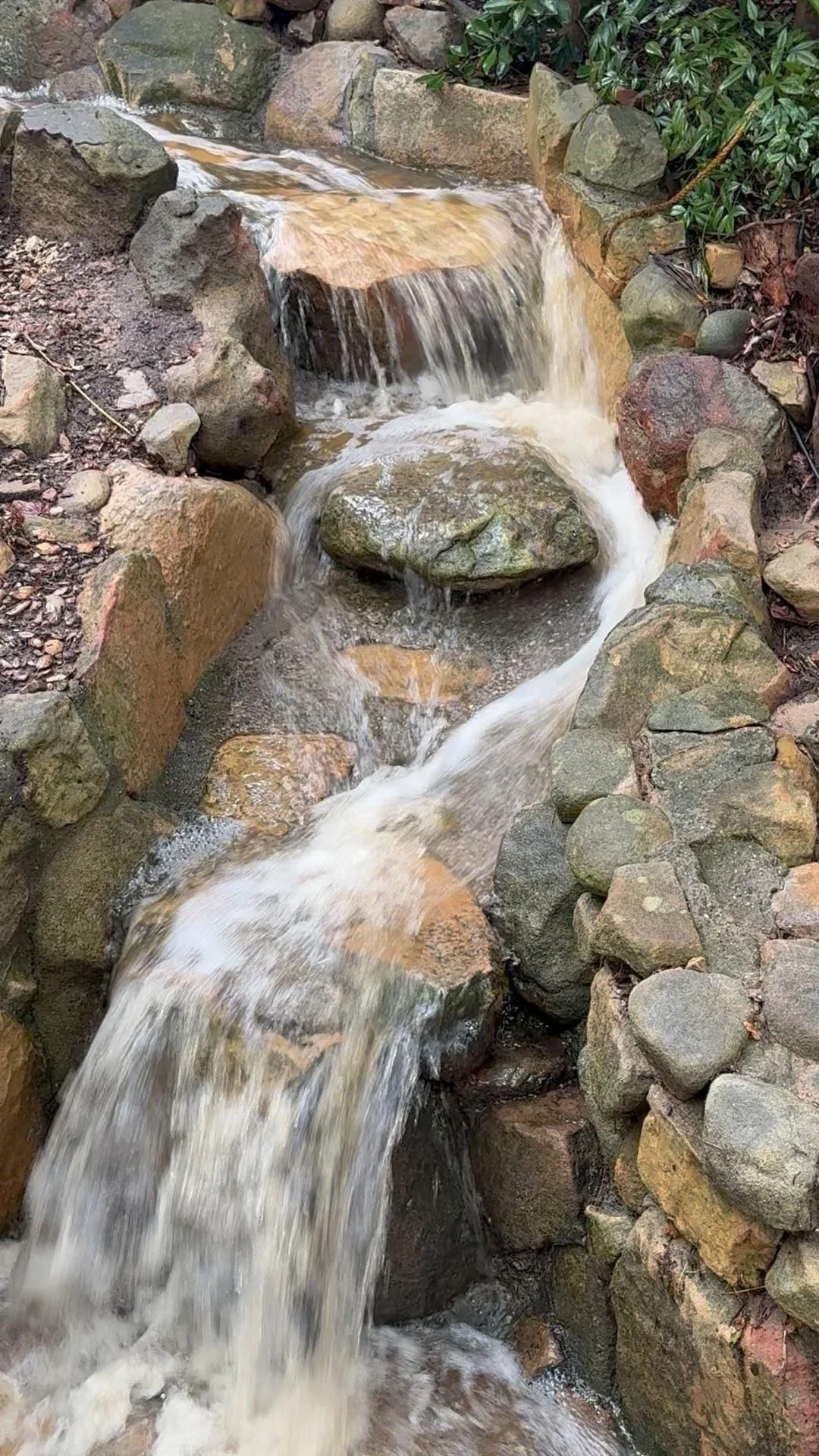 Waterfall Monday Wisdom Circle: Water Element and Guardian Elementals