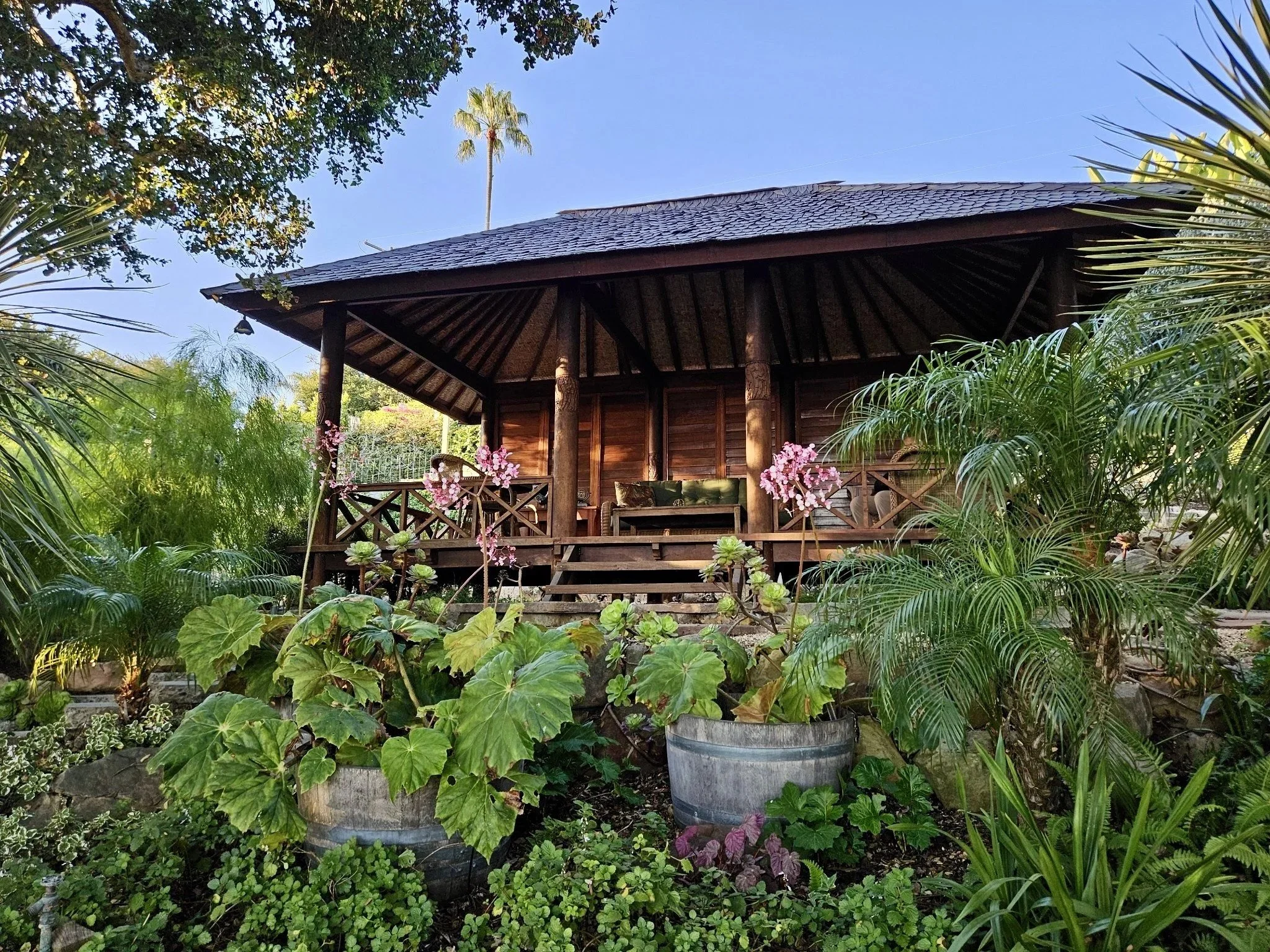 The wooden deck in the magic garden