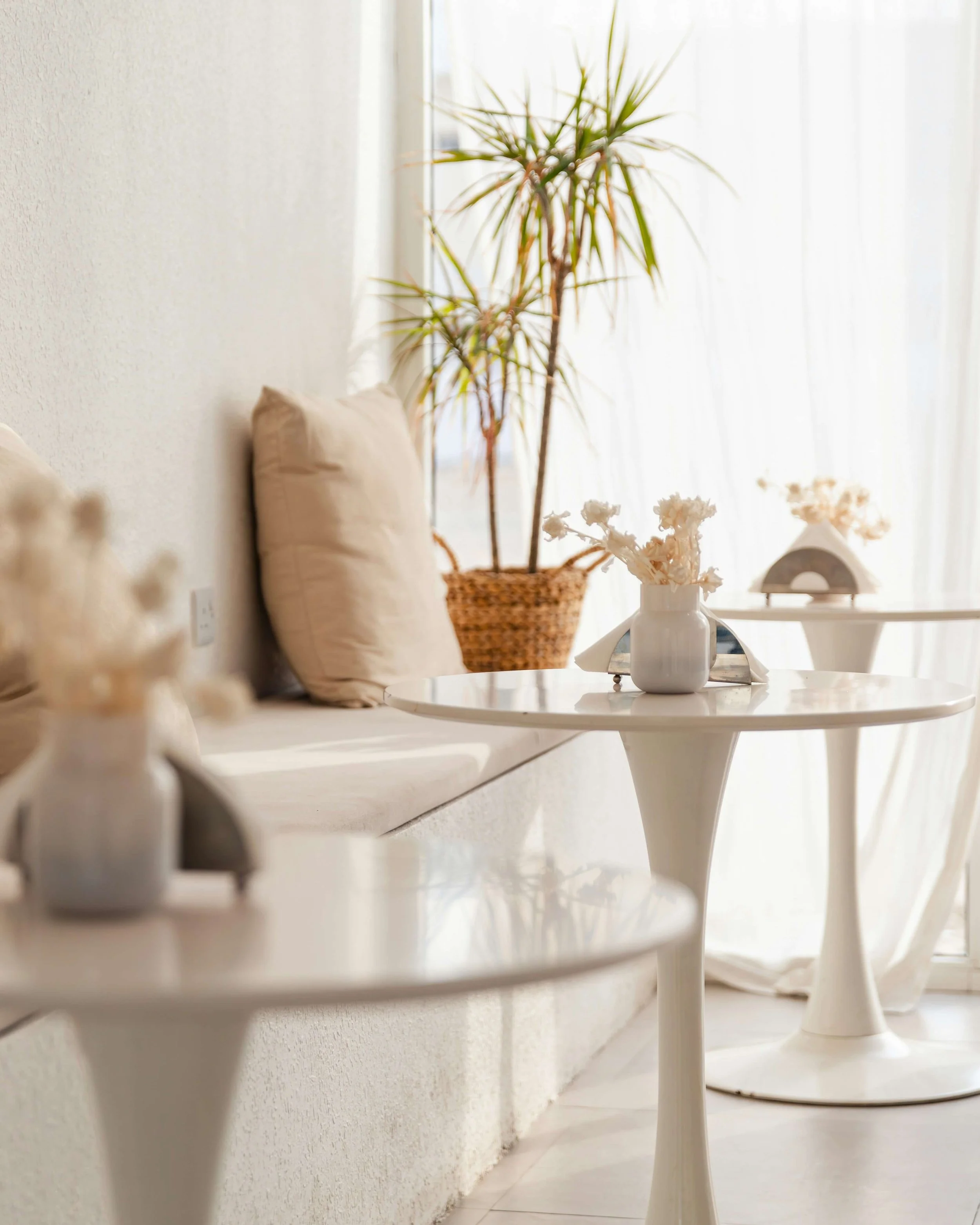White seating area with small white tables, decorated with vases of dried flowers, and a large potted plant in the background near sheer white curtains.