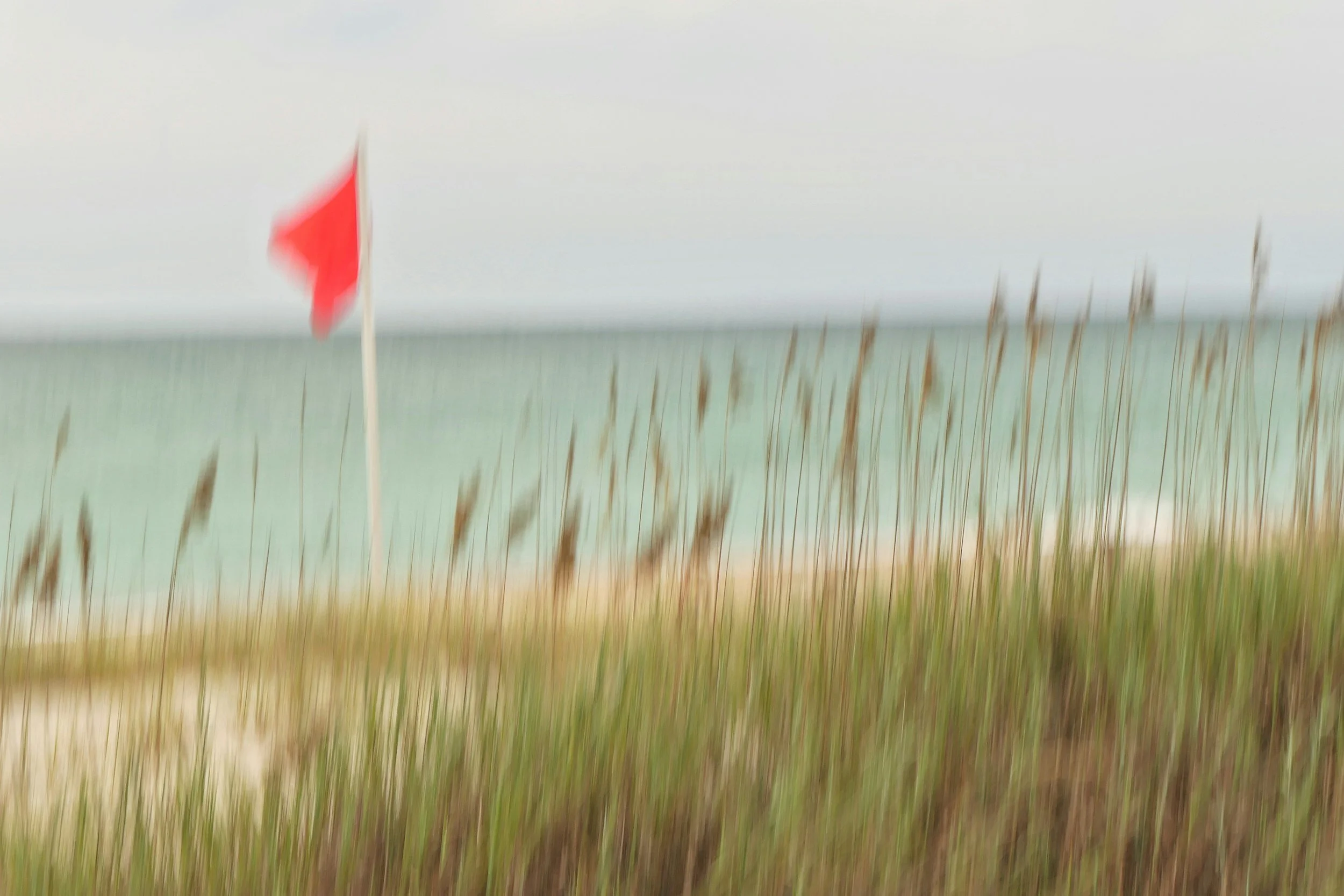 Red Flag Warning: The Ingredients for an Economic Bonfire