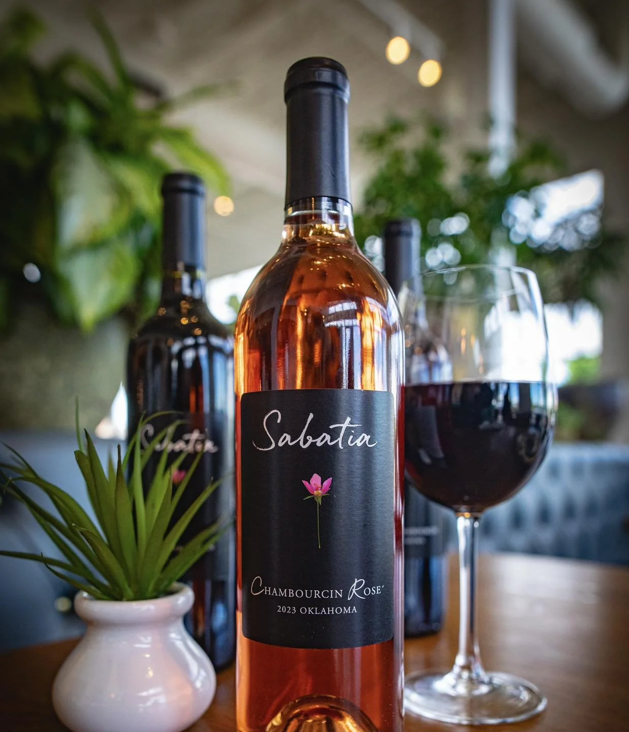 Sabatia Rose' and Chambourcin at Emma Elle's Italian Kitchen