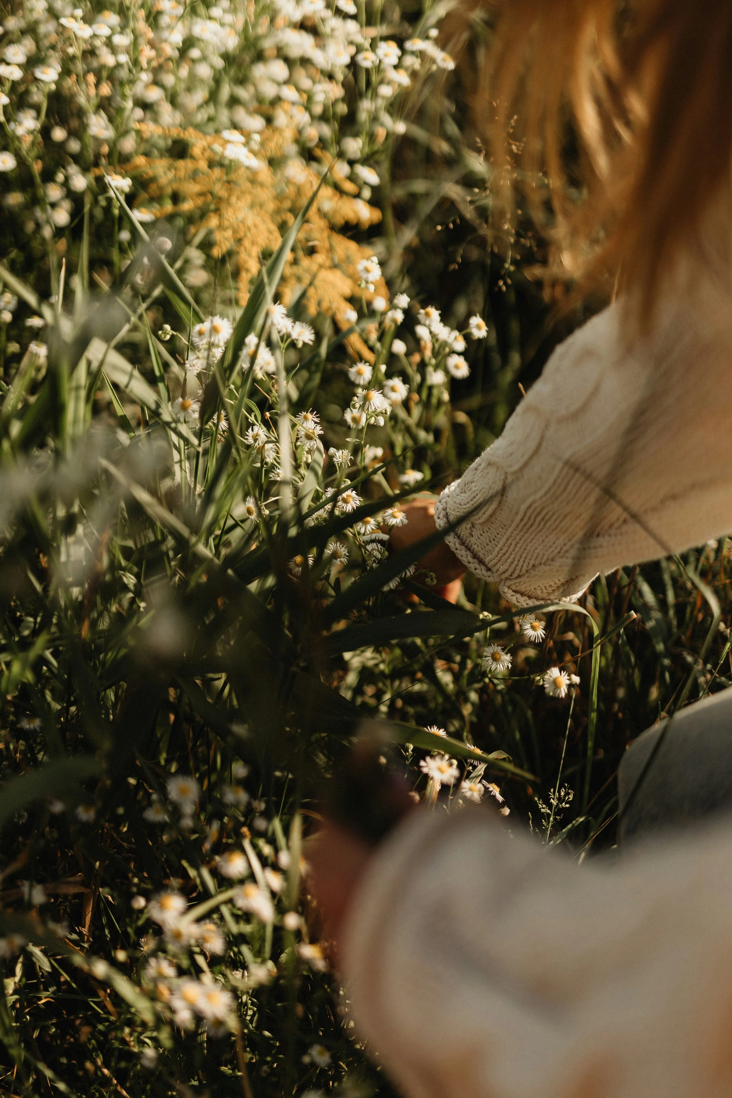 A person with red hair wearing a beige sweater surrounded by small white and yellow flowers in a natural outdoor setting.