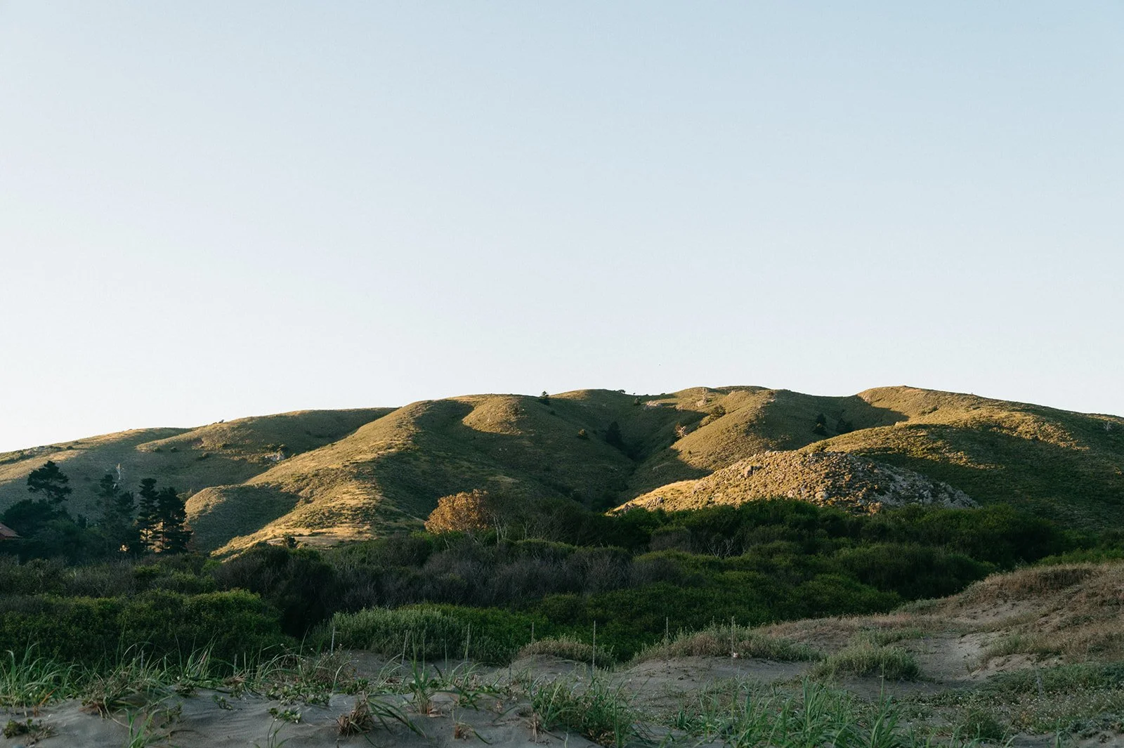 Green rolling hills with sparse trees and bushes under a clear sky.