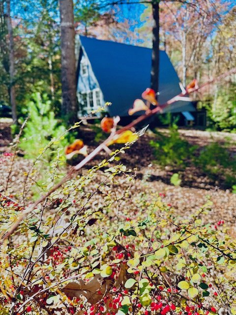 Autumn in Adams County, PA 