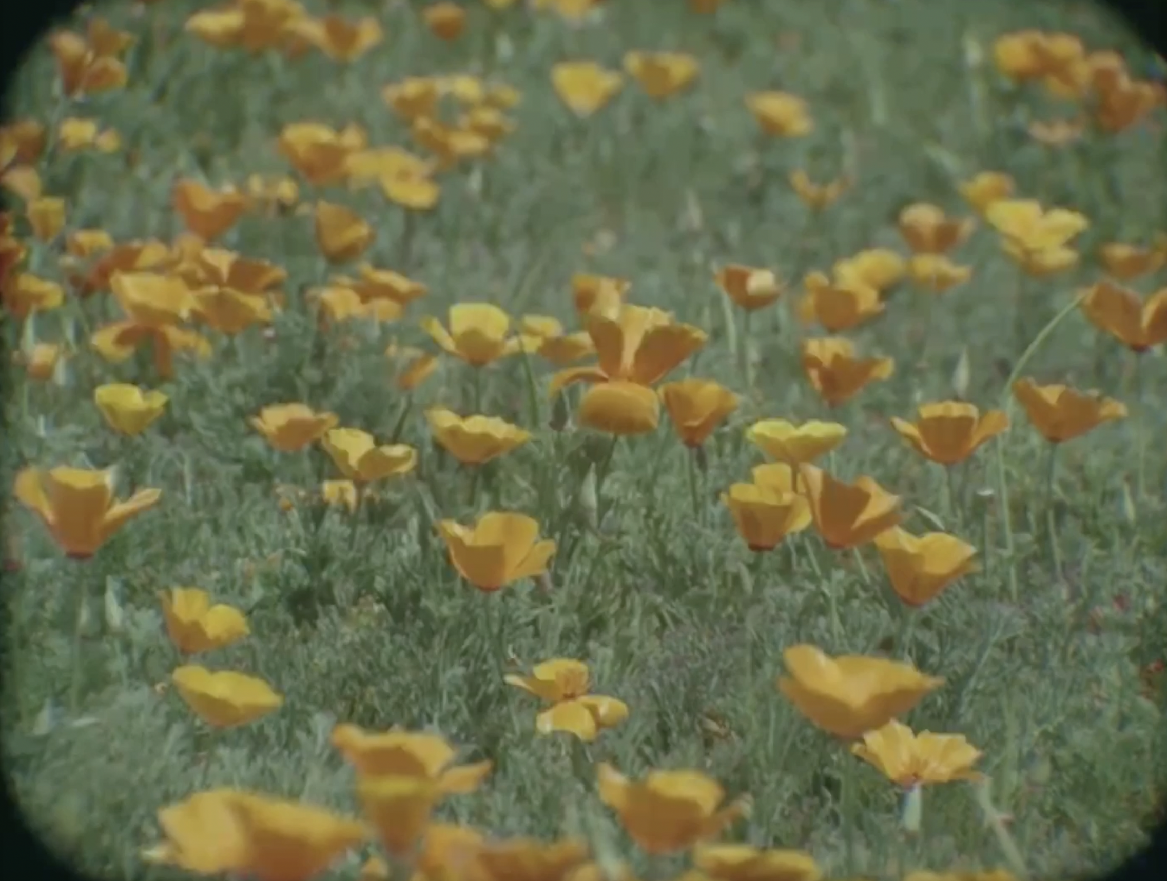 Screen Shot 2026-02-12 at 6.43.06 PM.png