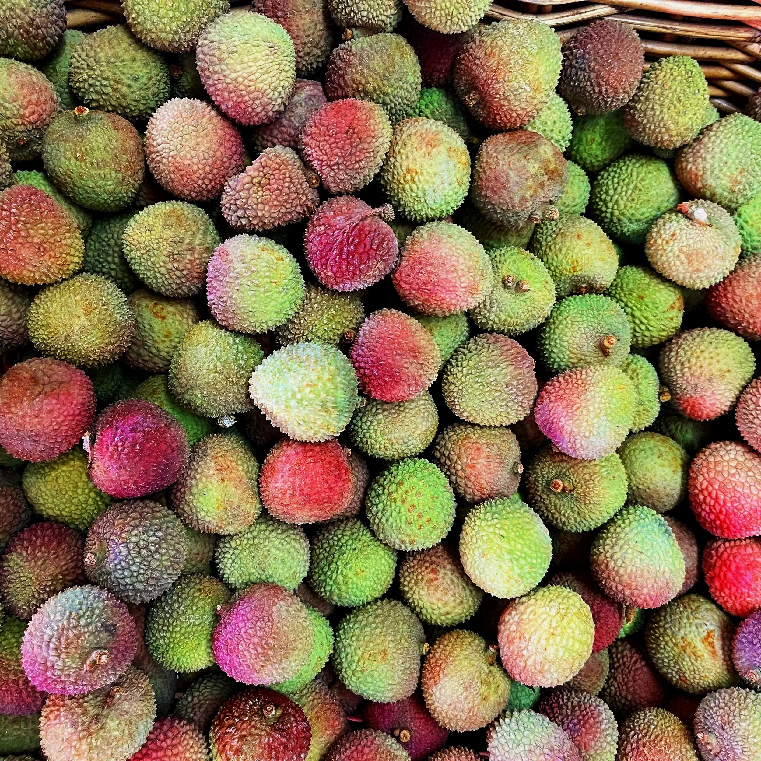 A large pile of colorful lychee fruits with spiky skin varied in shades of green, red, and brown, stacked in a basket.