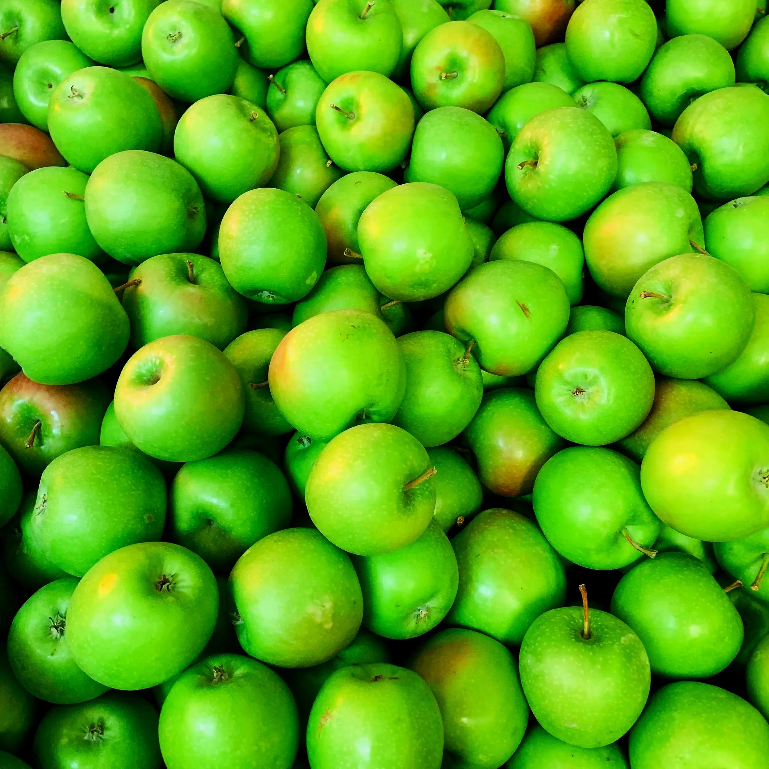 A large pile of green apples with some showing slight yellow and red markings.