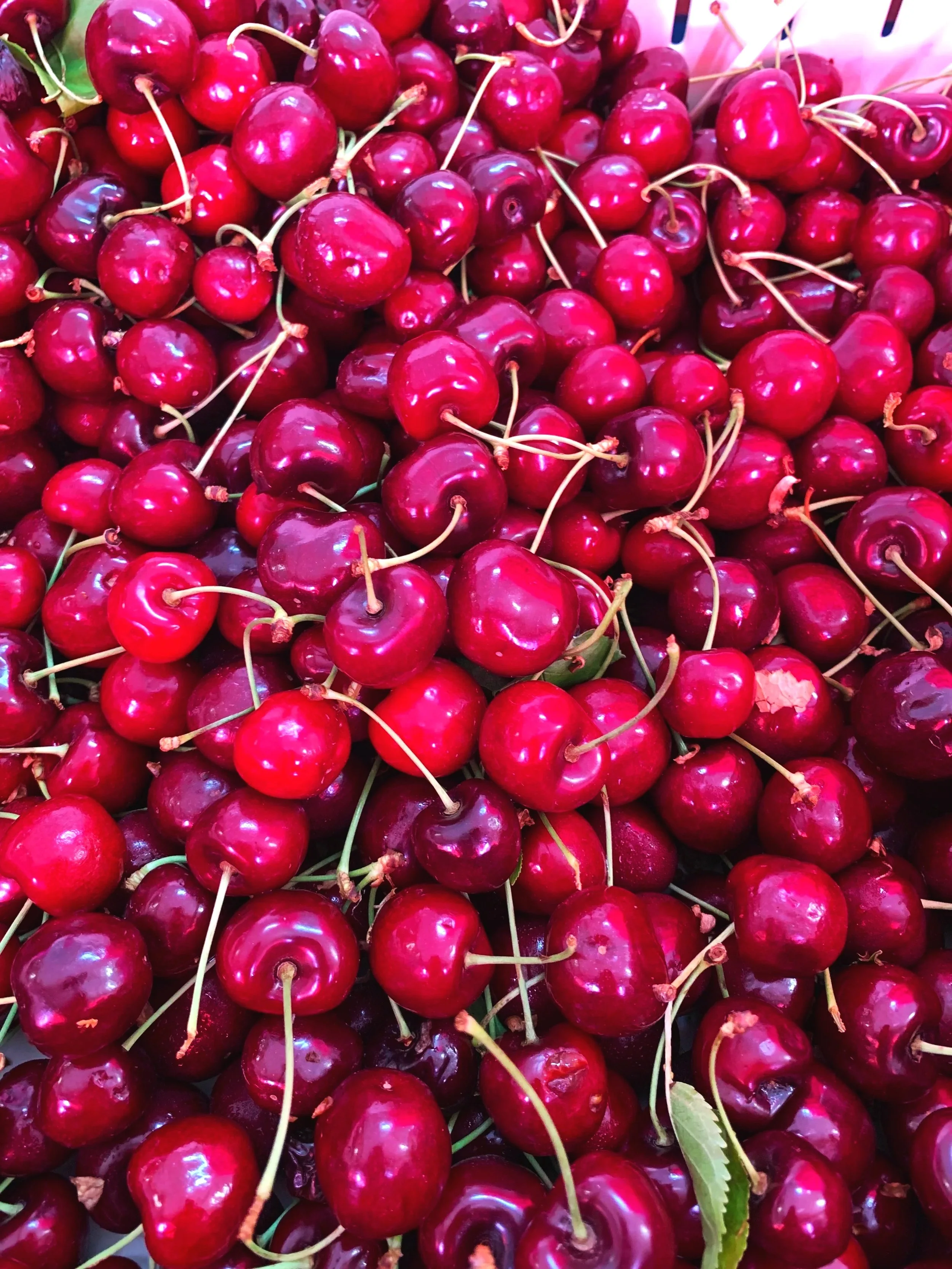A close-up of a large pile of fresh, shiny red cherries with stems, some green leaves, and a pink background.