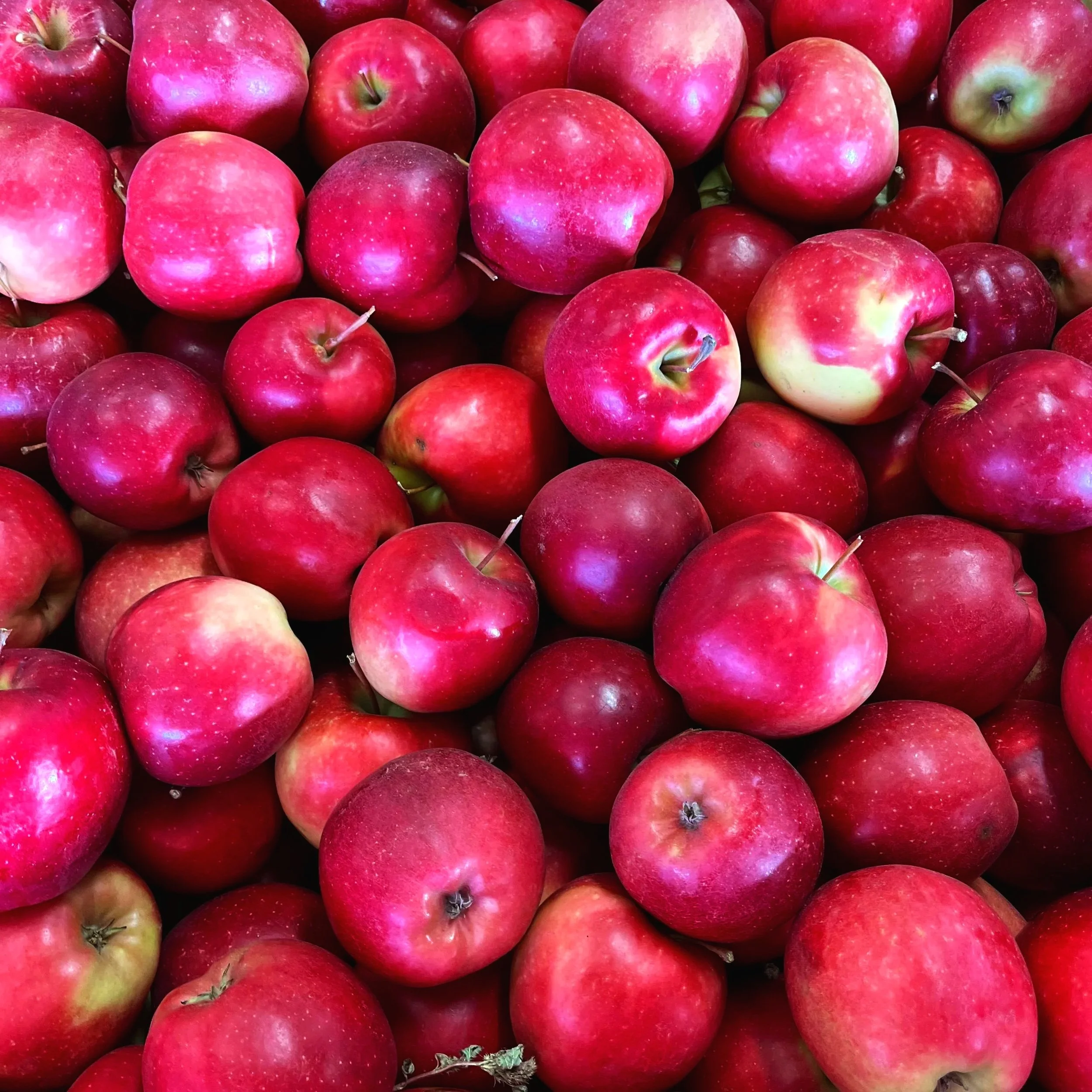 A pile of red apples with some greenish-yellow patches.
