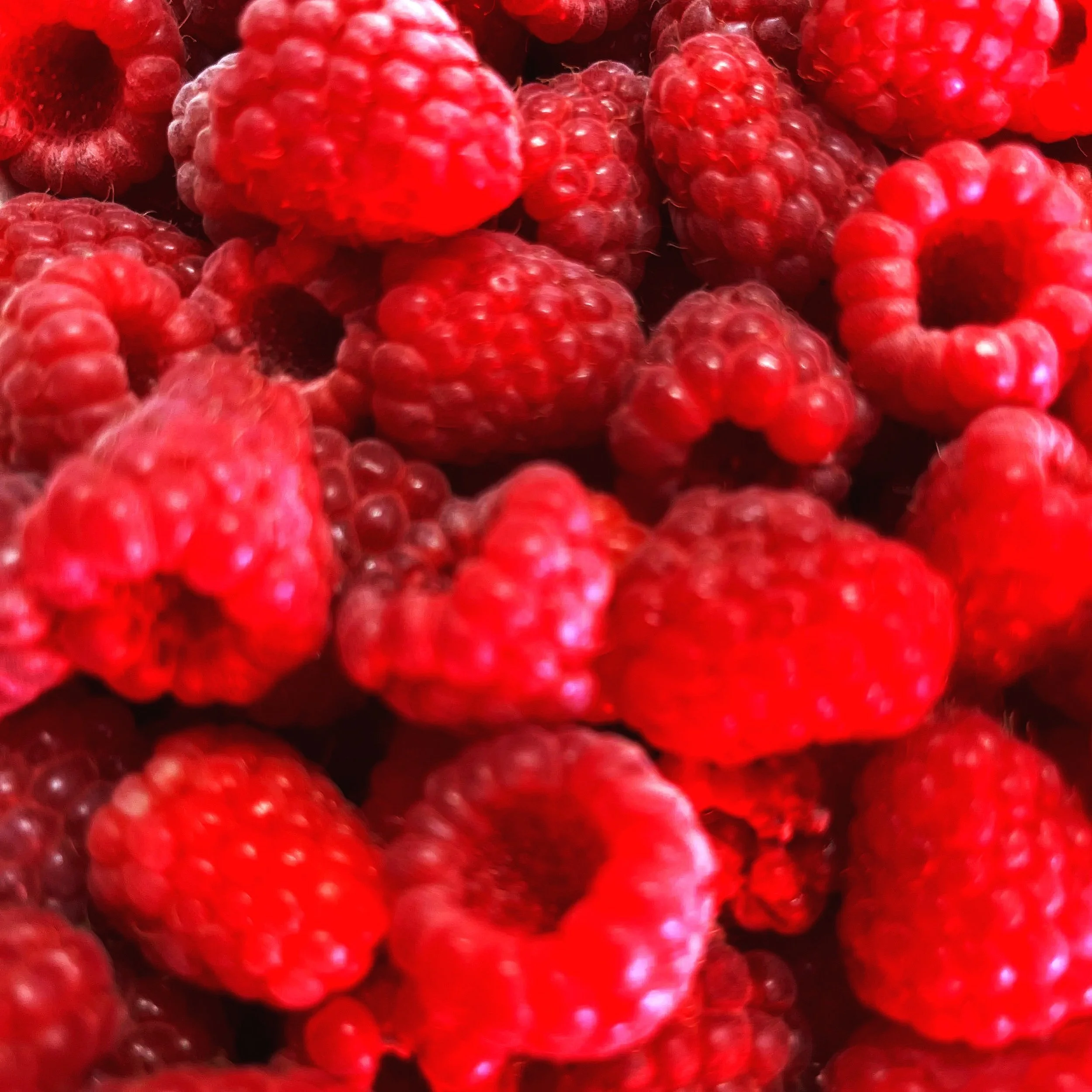 Close-up of fresh red raspberries.