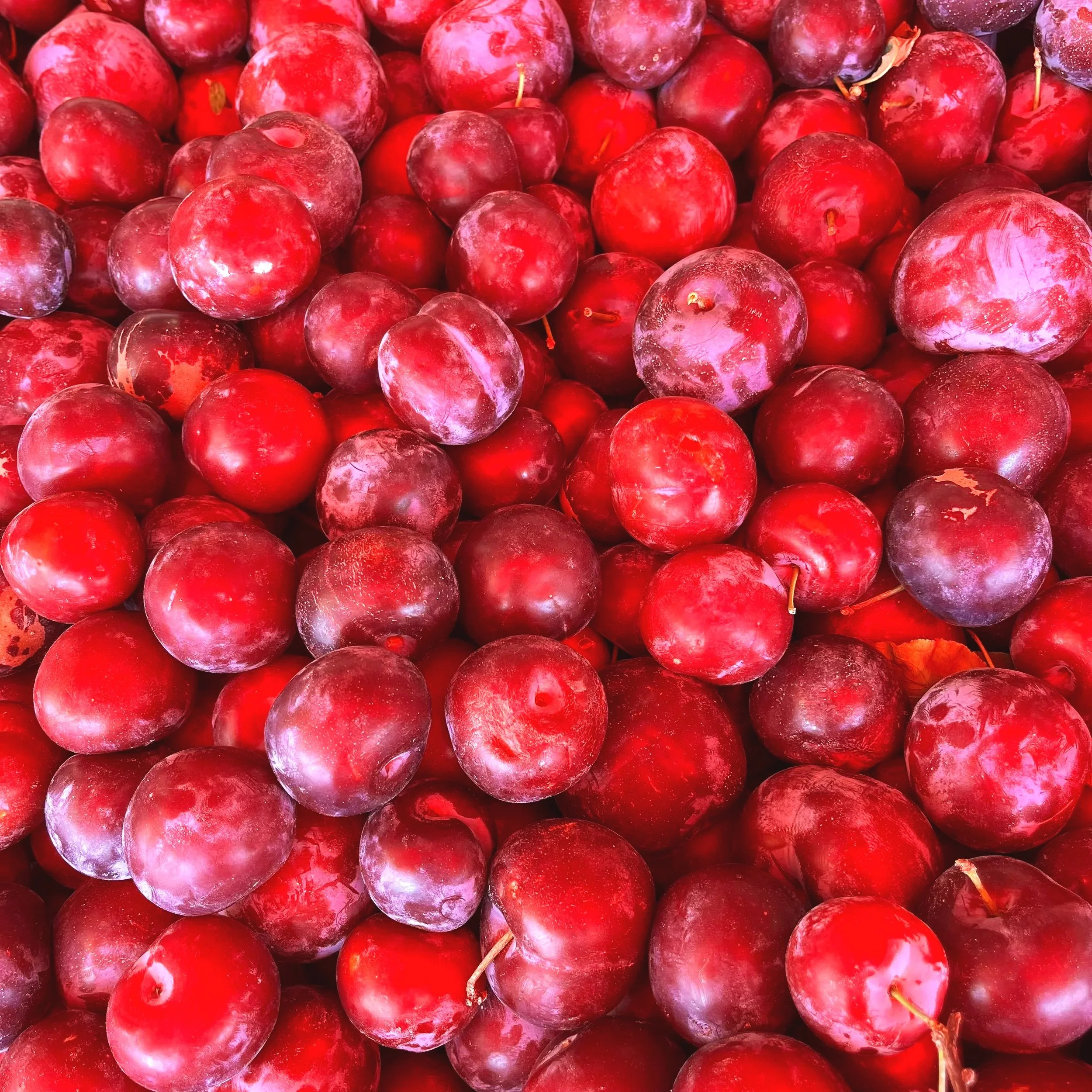 Close-up of red grapes in a pile.