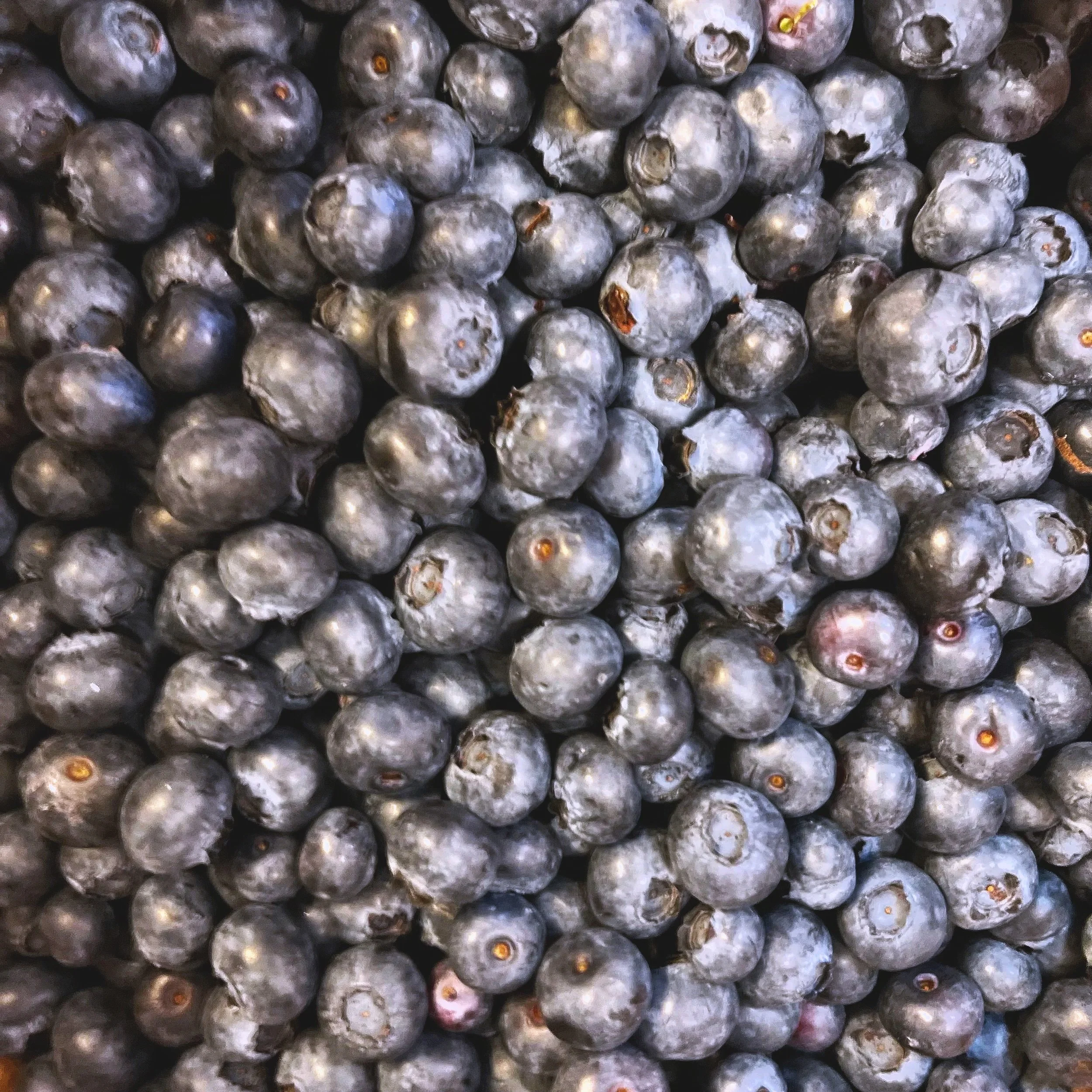 Close-up of a bunch of blueberries with a slightly blurry background.
