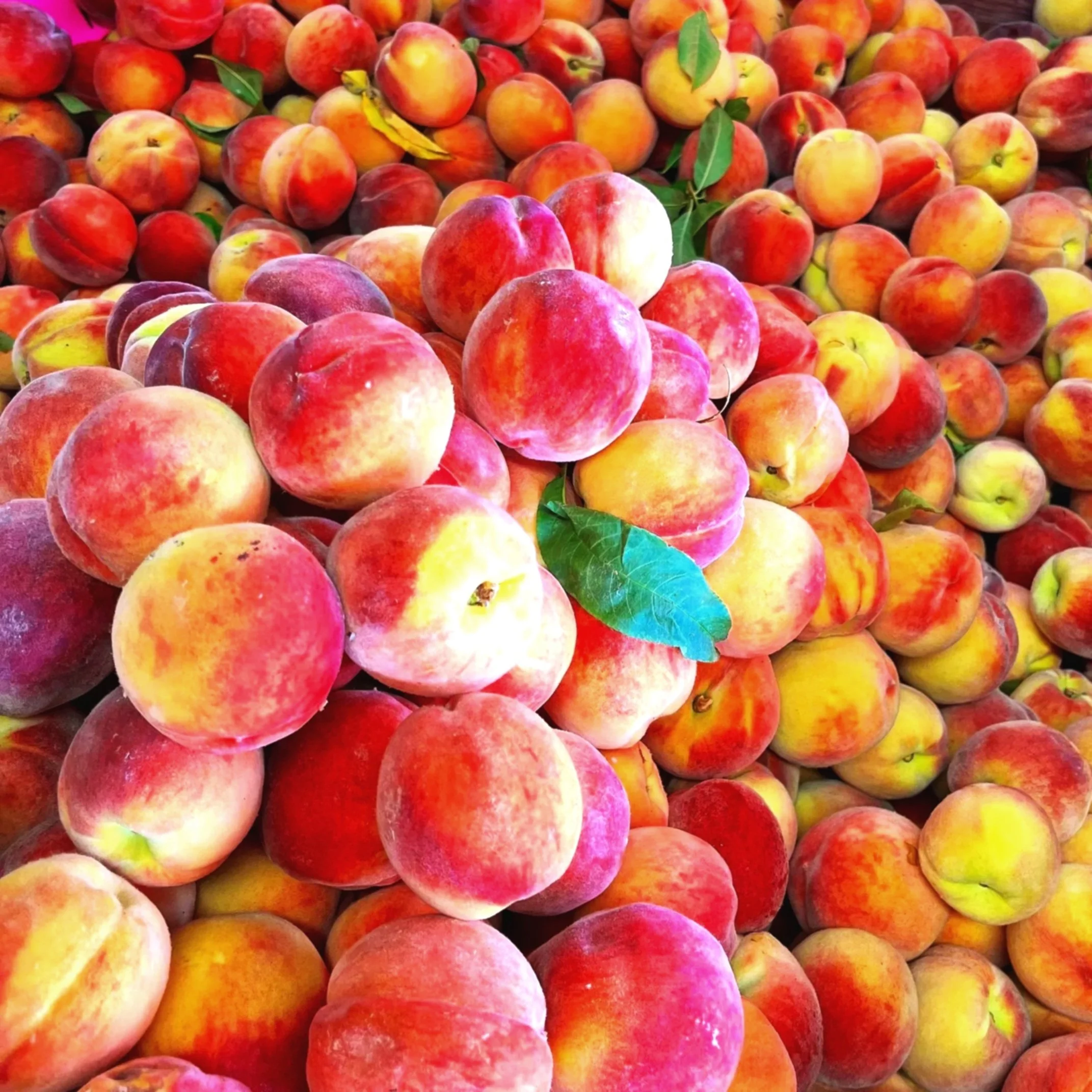 A large pile of peaches with green leaves among them.