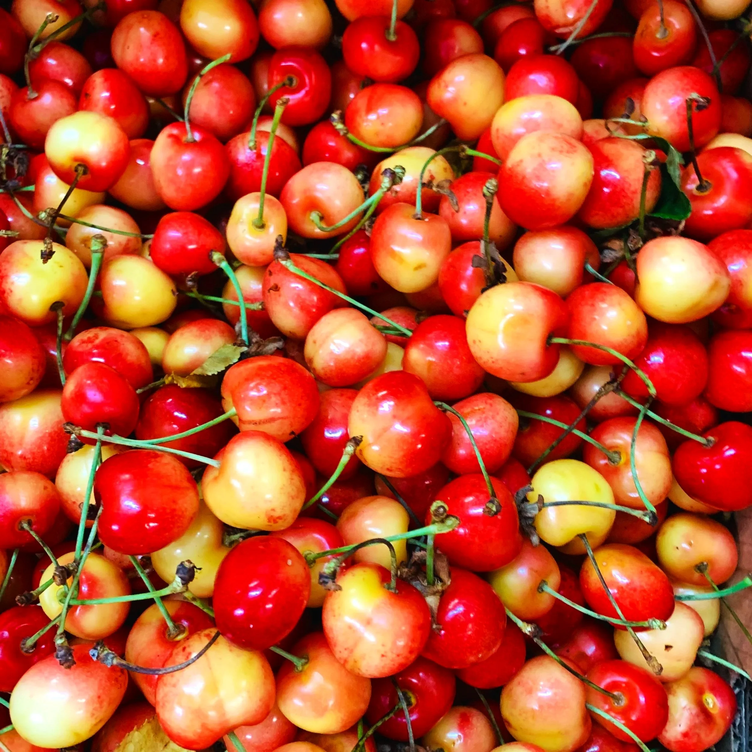 Several red and yellow cherries in a pile.