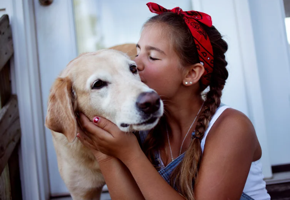 Scenic landscape of mountains, a lake, and rolling grassy hills with scattered shrubs and small trees under an overcast sky.