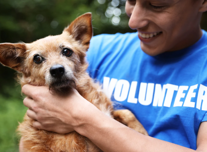 Modern house with wood paneling and a large glass window, situated on a grassy field with mountains in the background.