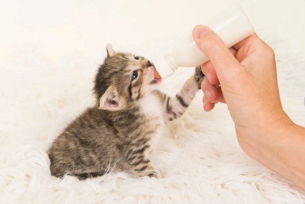 A landscape with rolling hills and a modern building in the foreground, snow-capped mountains in the background, and a cloudy sky overhead.