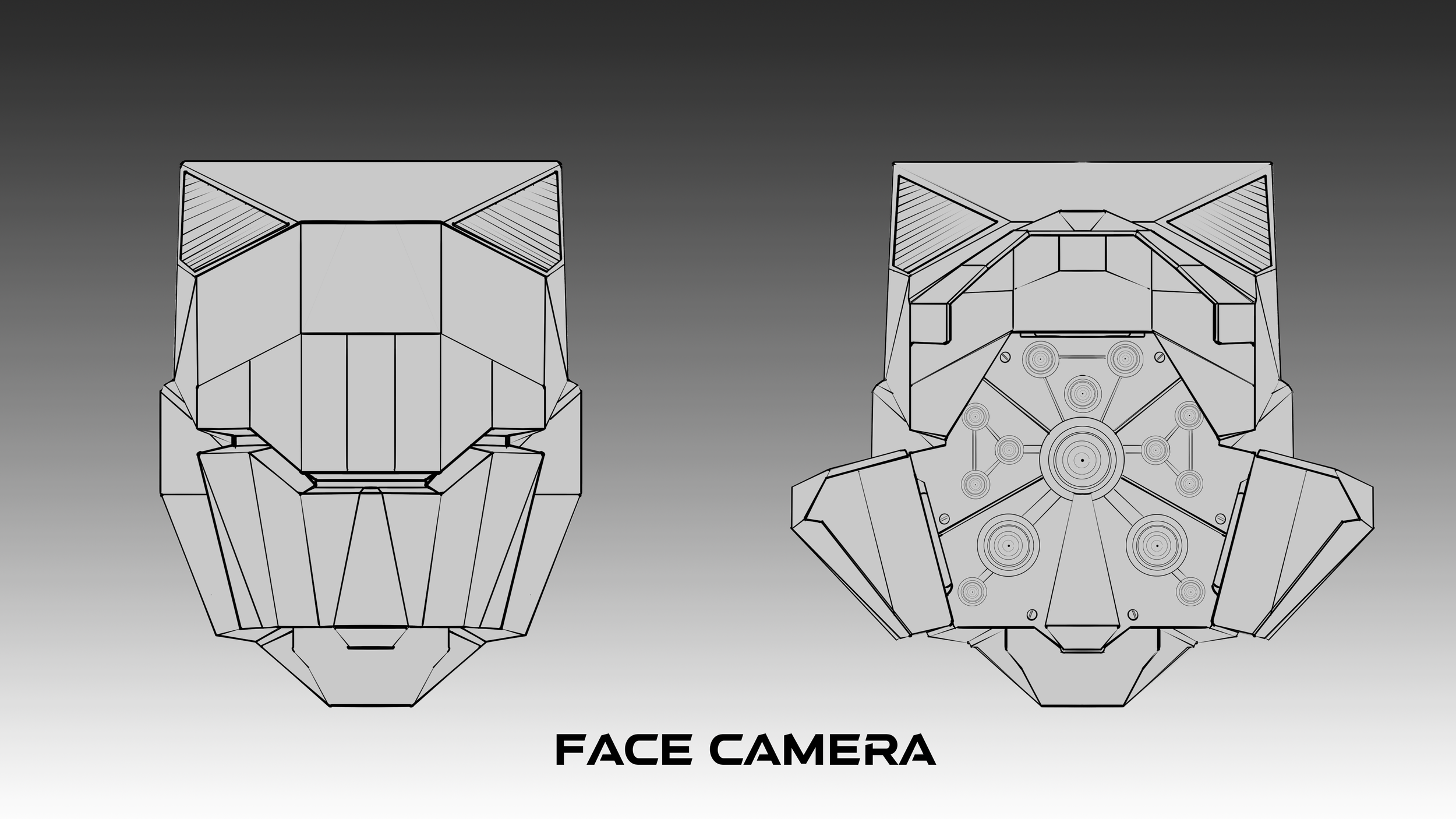 Face Camera Callout.png