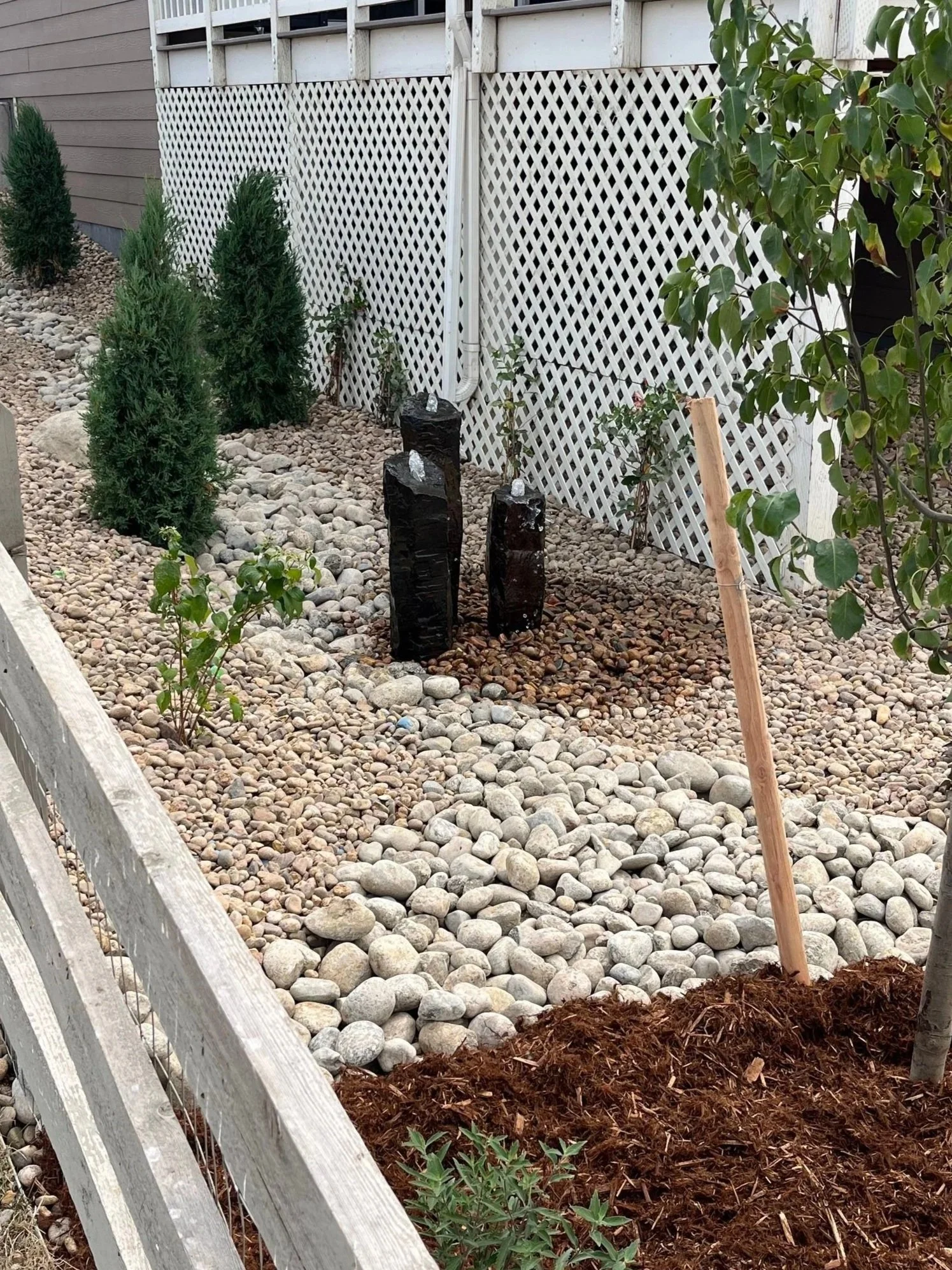 A landscaped backyard with gravel and pebble ground covering, small evergreen trees, a white lattice fence, and a few young plants. There are three black stone water features with water flowing over them, and a wooden stake supports a nearby plant.