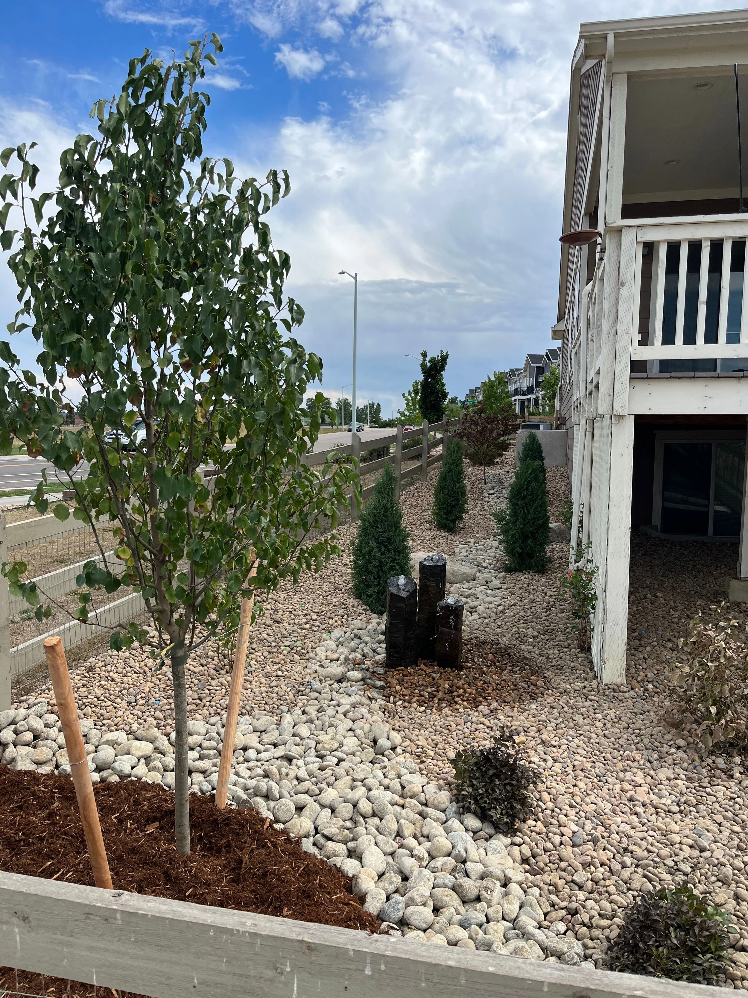 A backyard garden with a young tree, small shrubs, decorative black sculptures, and a pathway of rocks, next to a white house with a balcony, fence, and a road with street lamps in the background.