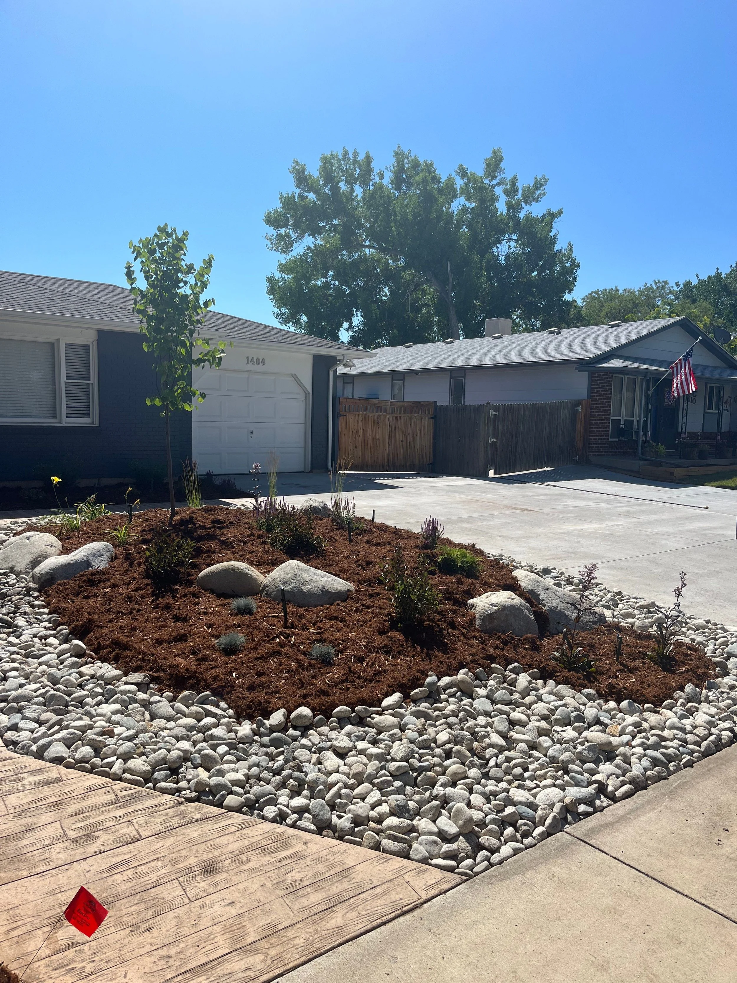 Front yard with a small tree, rocks, and new plants, with houses and a clear blue sky in the background.