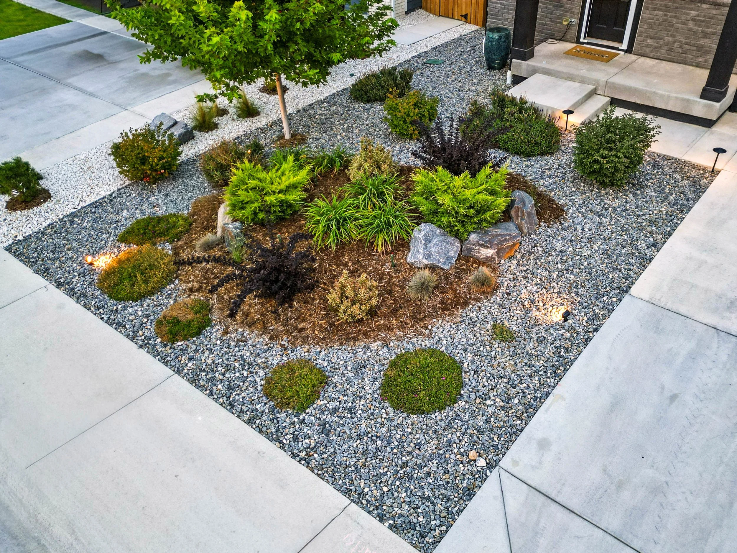 A front yard garden with various green shrubs, small plants, and rocks, surrounded by concrete sidewalk and pathway leading to a brick house entrance.