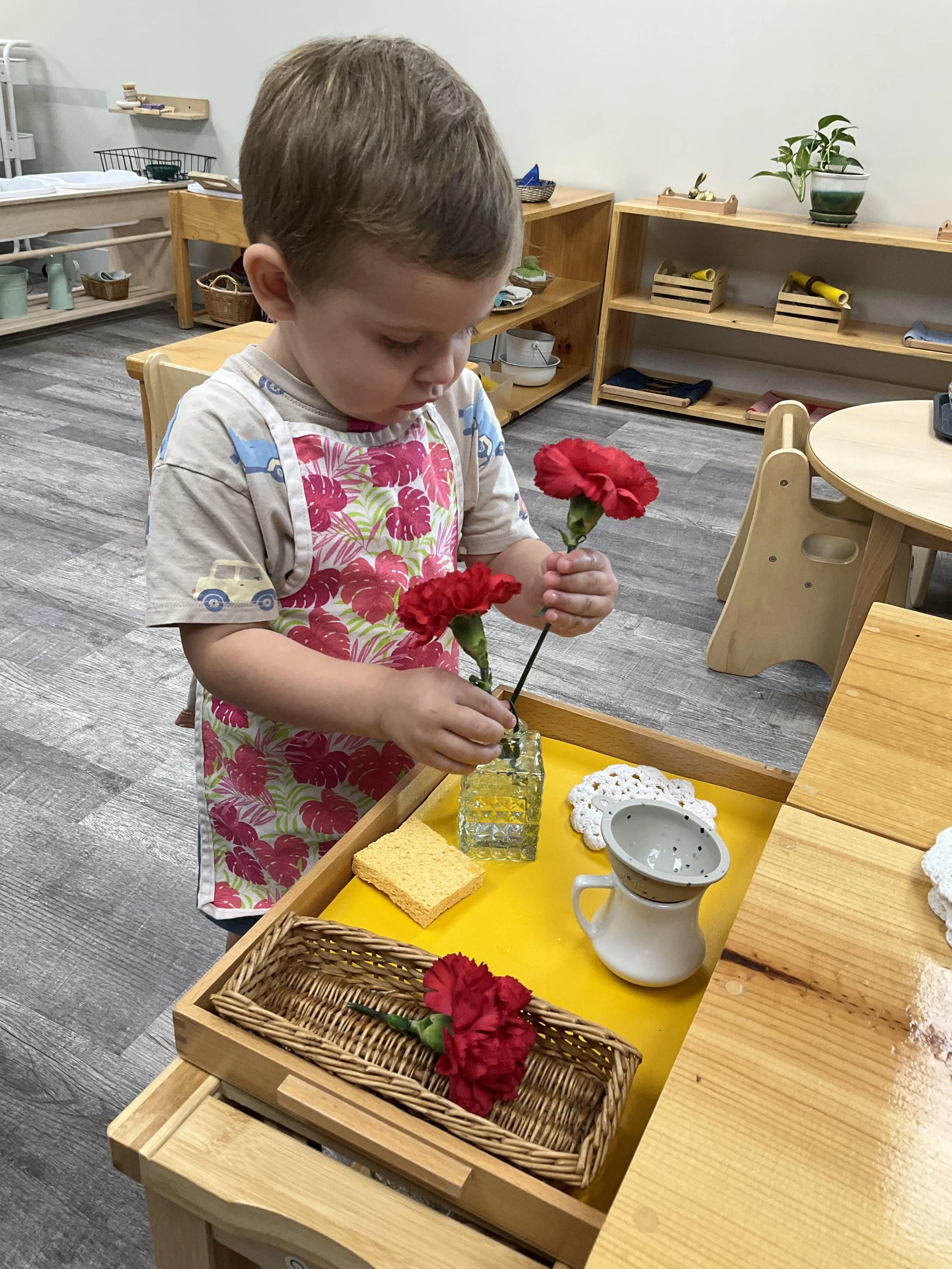 Plant care is also another part of our  Dynamite Montessori curriculum