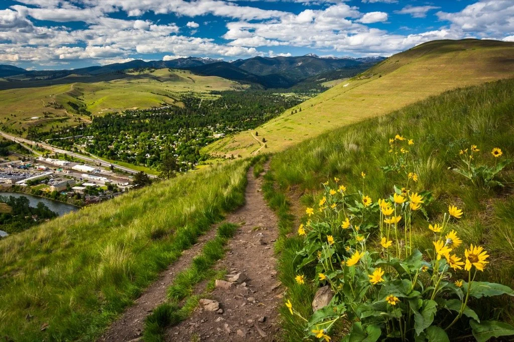 The M in Missoula Montana Trailhead