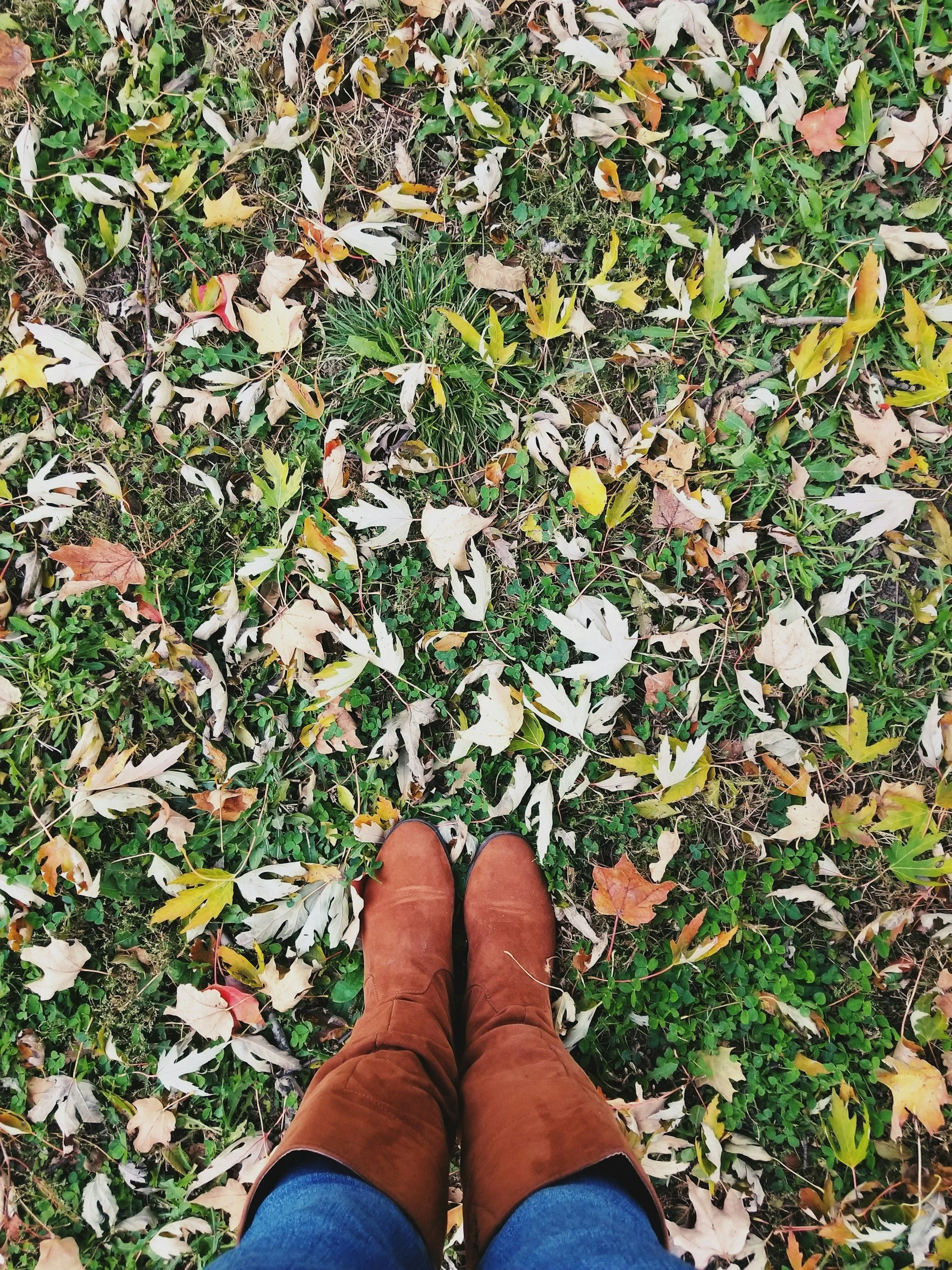 Photo of a person standing on grass covered with fallen leaves, wearing brown boots, blue jeans, taken from a top-down perspective.