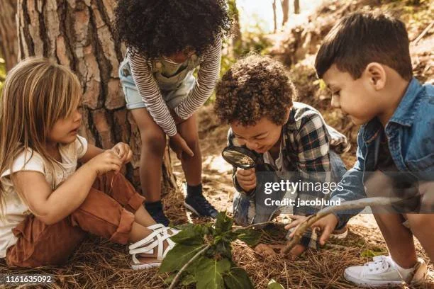 Four children exploring outdoors by a tree, using a magnifying glass to examine a plant.