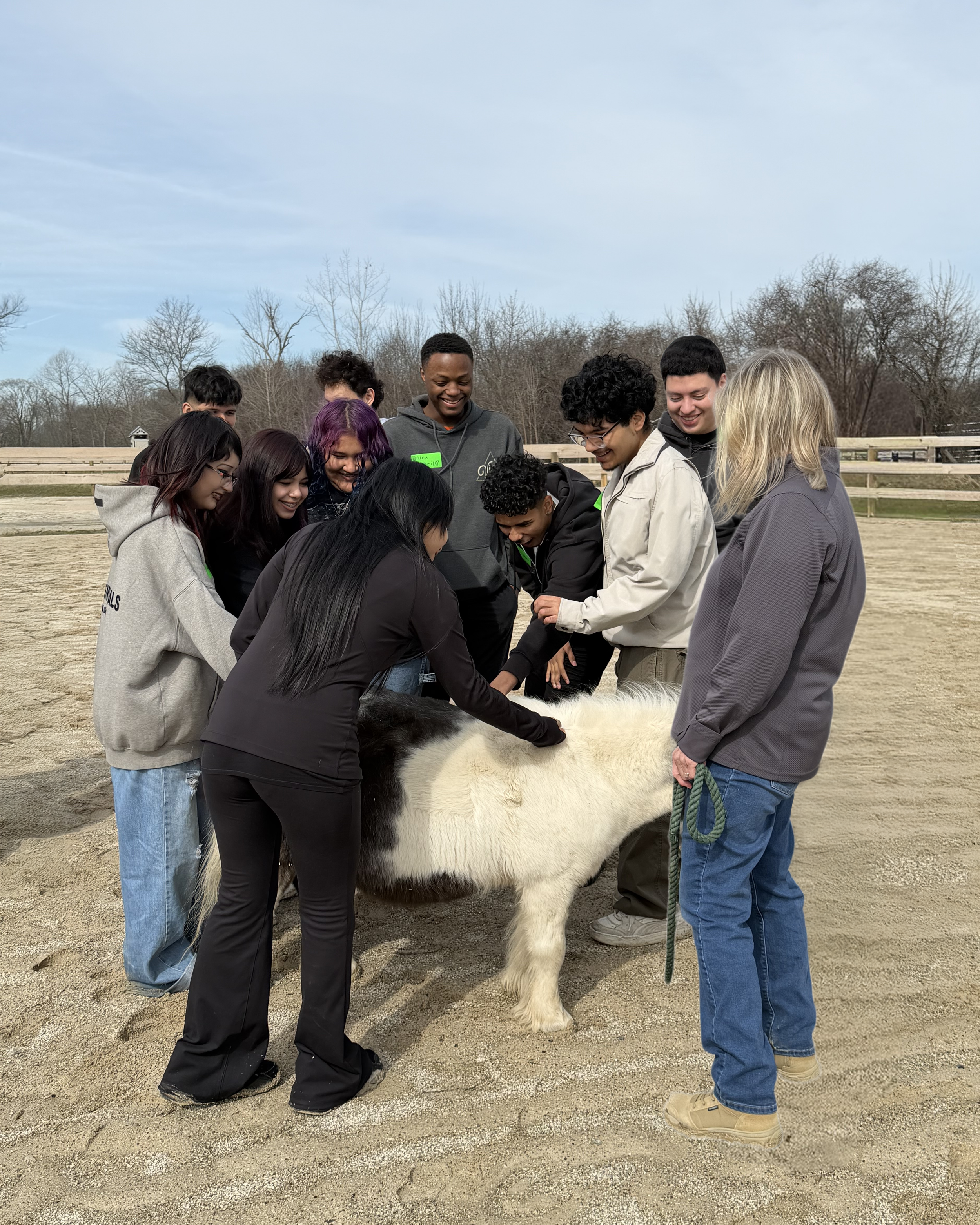 Group of people gathered around a large black-and-white cow during an outdoor event, with trees and a fence in the background on a cloudy day.